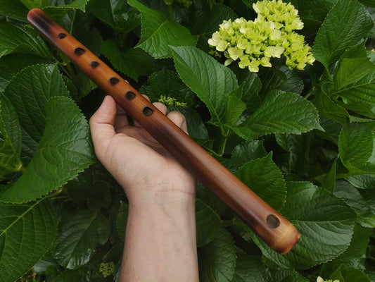 Simple A Major Bamboo Flute tuned in A440. Handmade Flute fine tuned | Rui Gomes