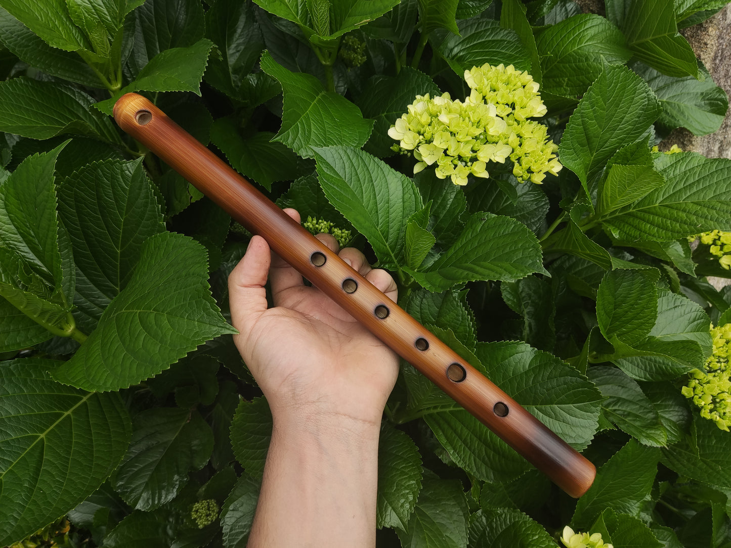 Simple A Major Bamboo Flute tuned in A440. Handmade Flute fine tuned | Rui Gomes