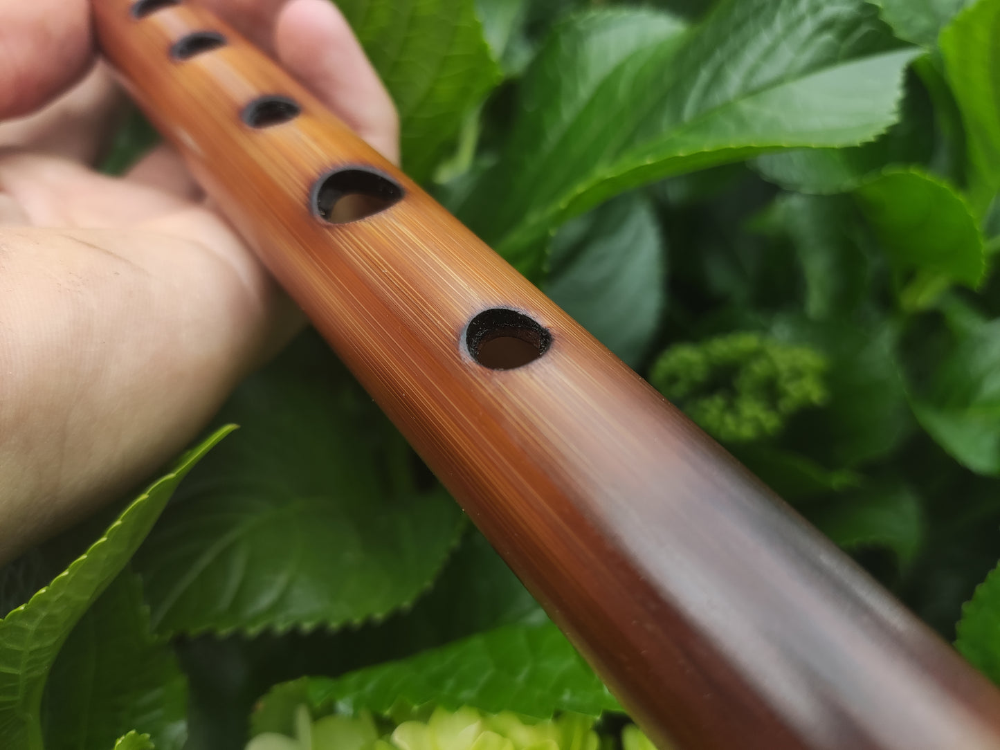 Simple A Major Bamboo Flute tuned in A440. Handmade Flute fine tuned | Rui Gomes