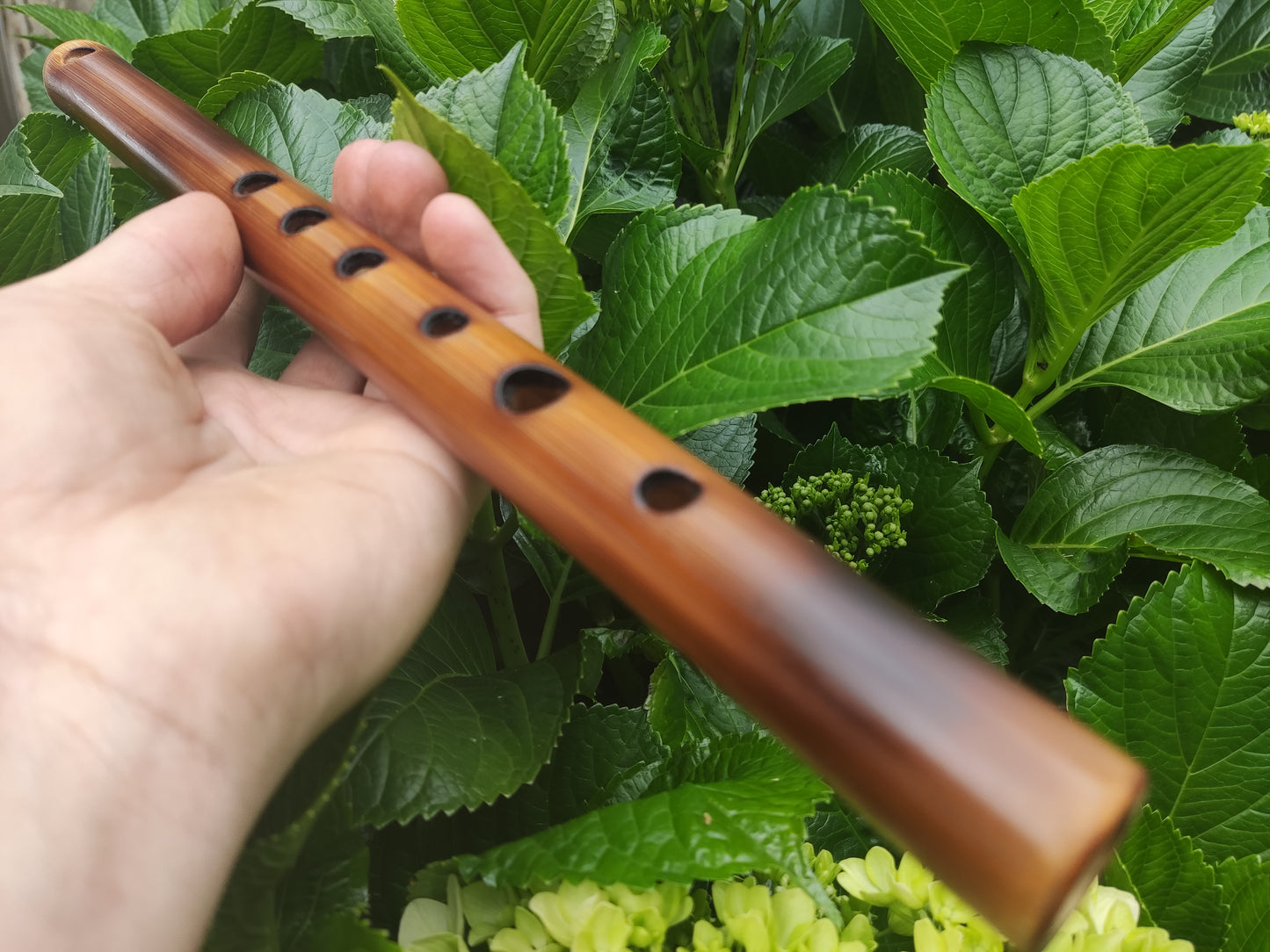 Simple A Major Bamboo Flute tuned in A440. Handmade Flute fine tuned | Rui Gomes