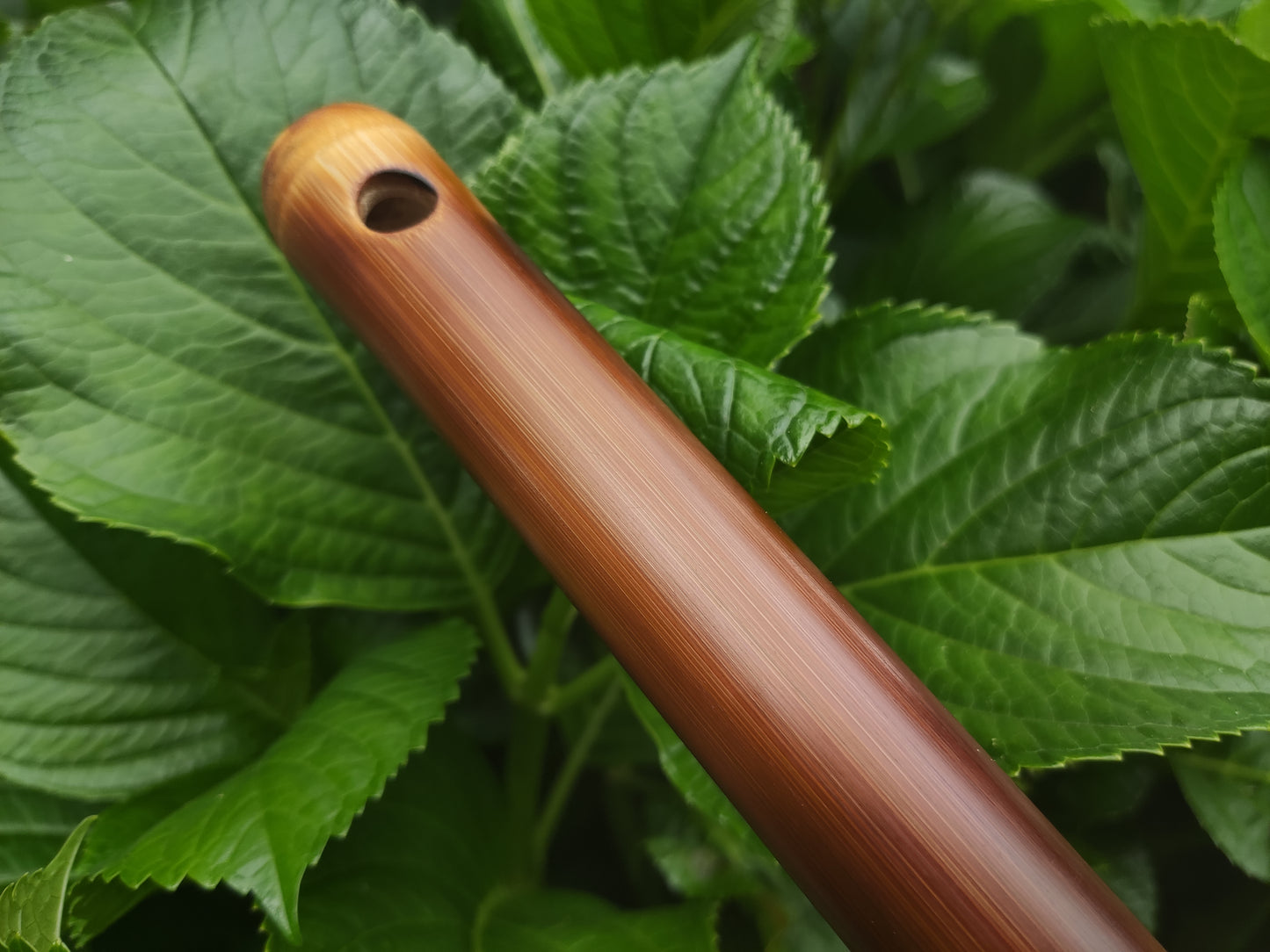 Simple A Major Bamboo Flute tuned in A440. Handmade Flute fine tuned | Rui Gomes