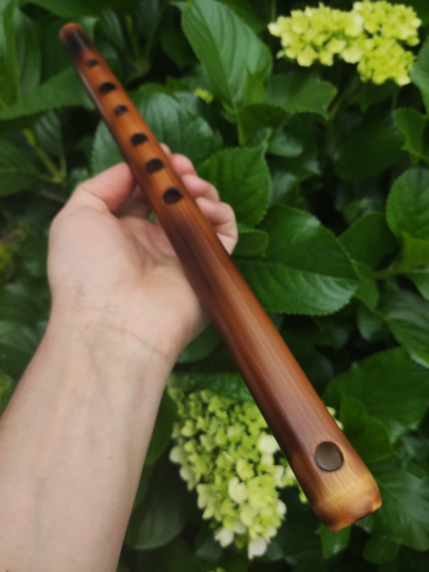Simple A Major Bamboo Flute tuned in A440. Handmade Flute fine tuned | Rui Gomes