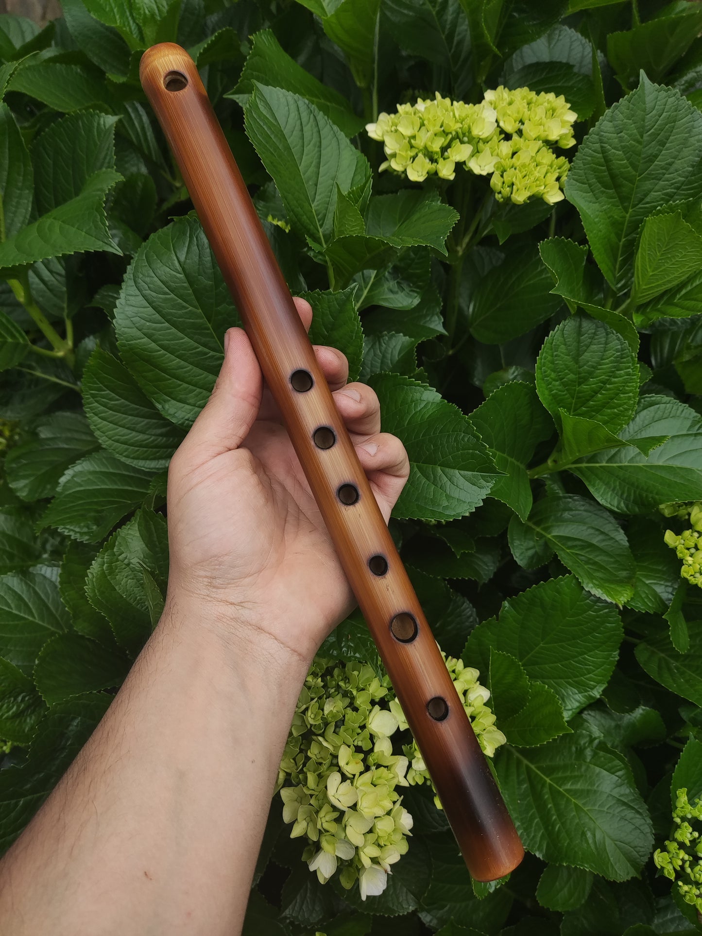 Simple A Major Bamboo Flute tuned in A440. Handmade Flute fine tuned | Rui Gomes