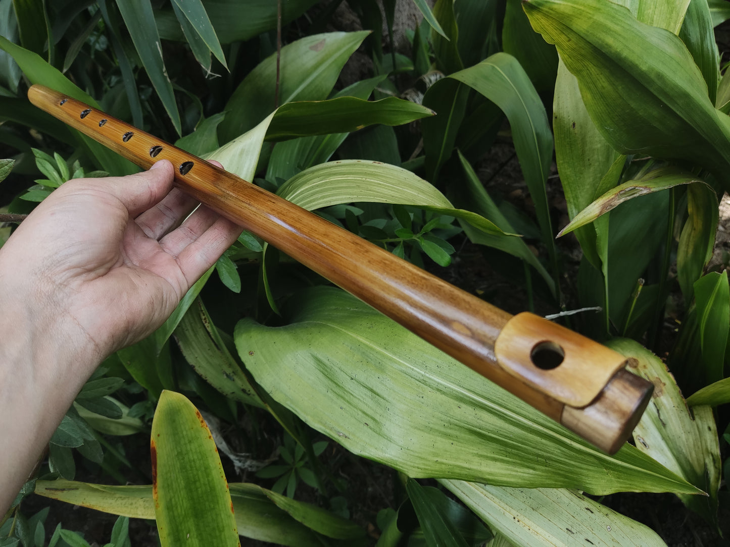 Low D Irish-style Bamboo Flute with a lip plate. Concert tuned handmade flute inspired by the Irish Flute | Rui Gomes