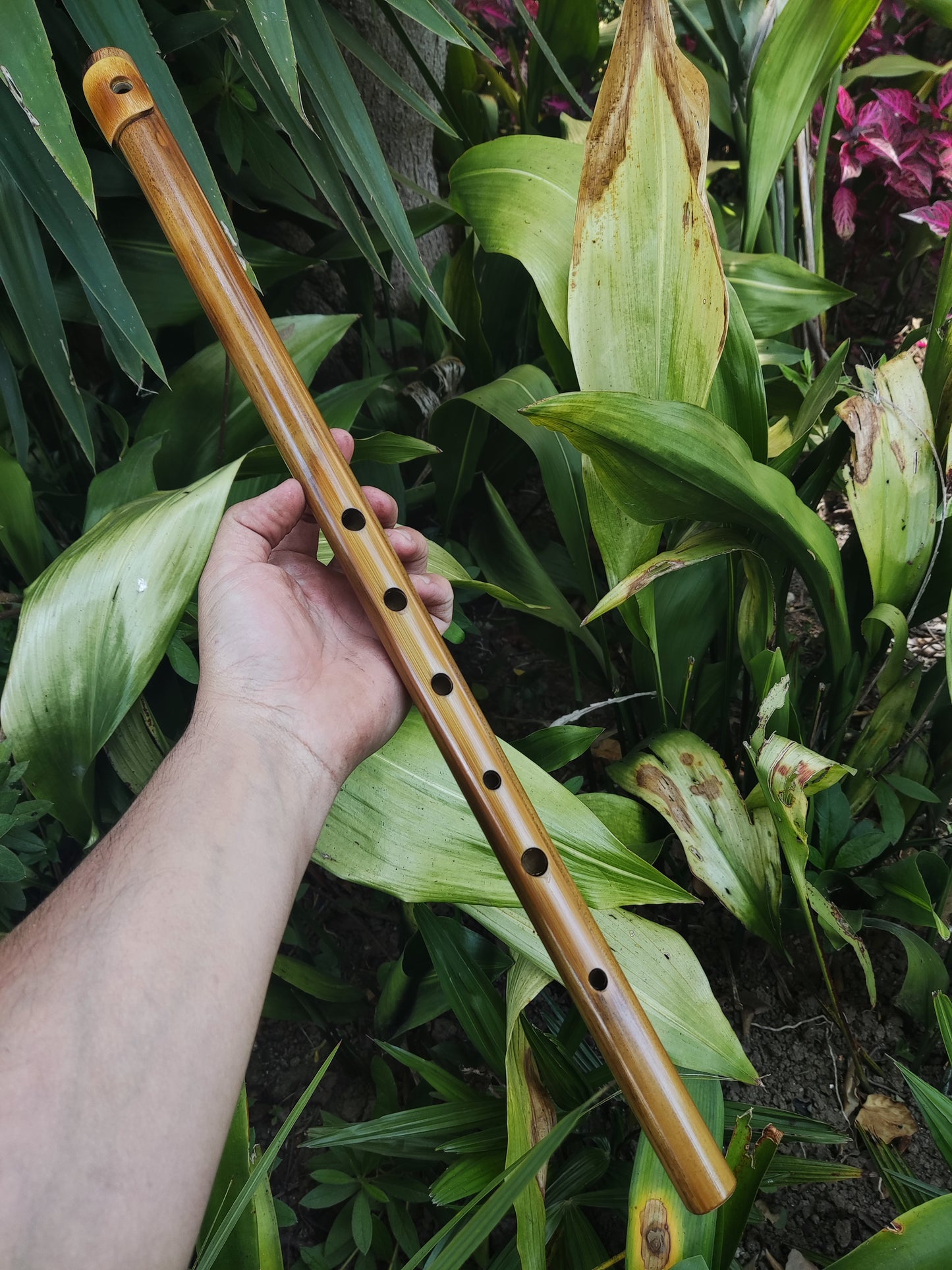 Low D Irish-style Bamboo Flute with a lip plate. Concert tuned handmade flute inspired by the Irish Flute | Rui Gomes