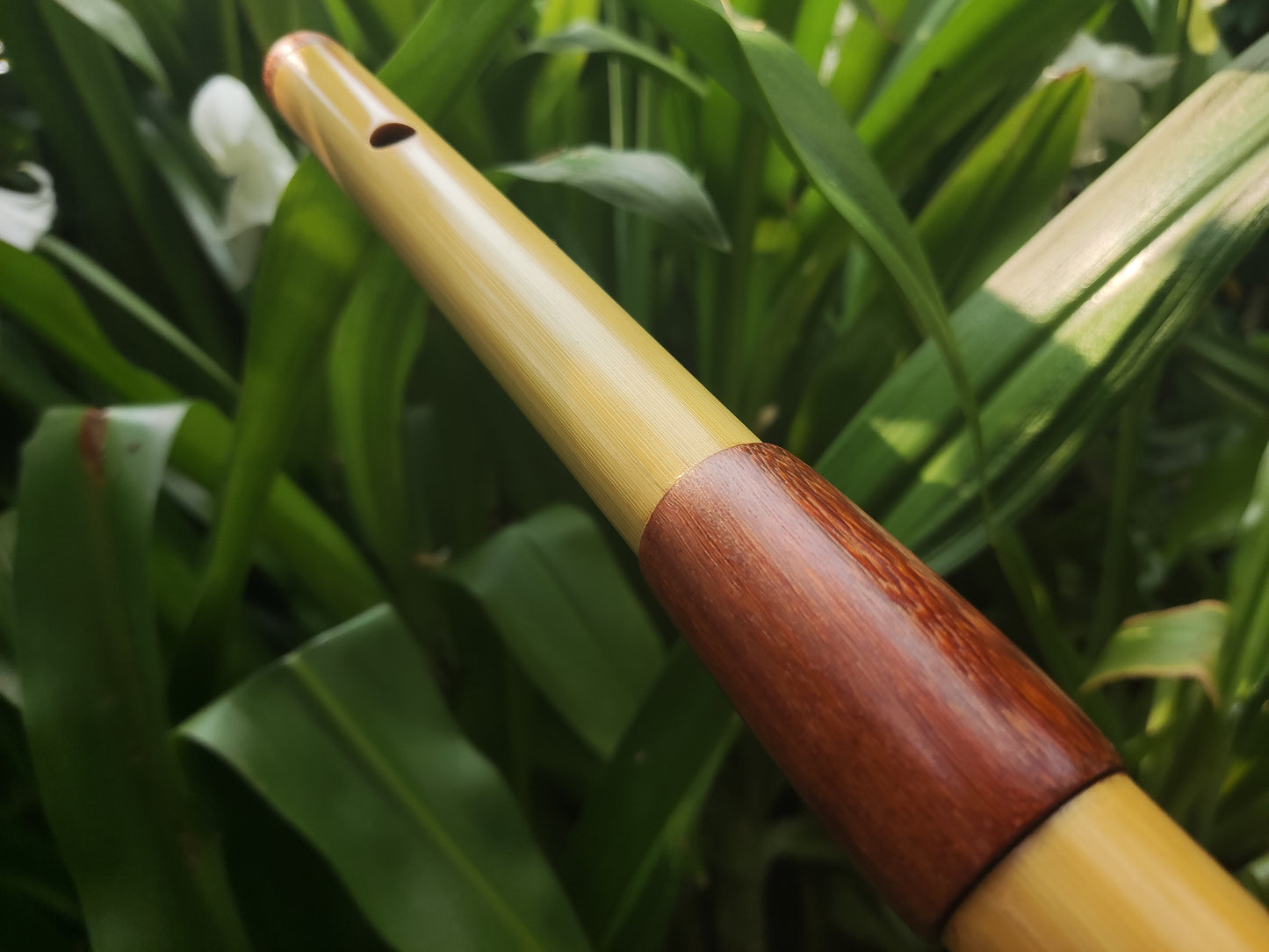 Low D Bamboo Transverse Flute | Two-part Bamboo and Rosewood Flute by Rui Gomes