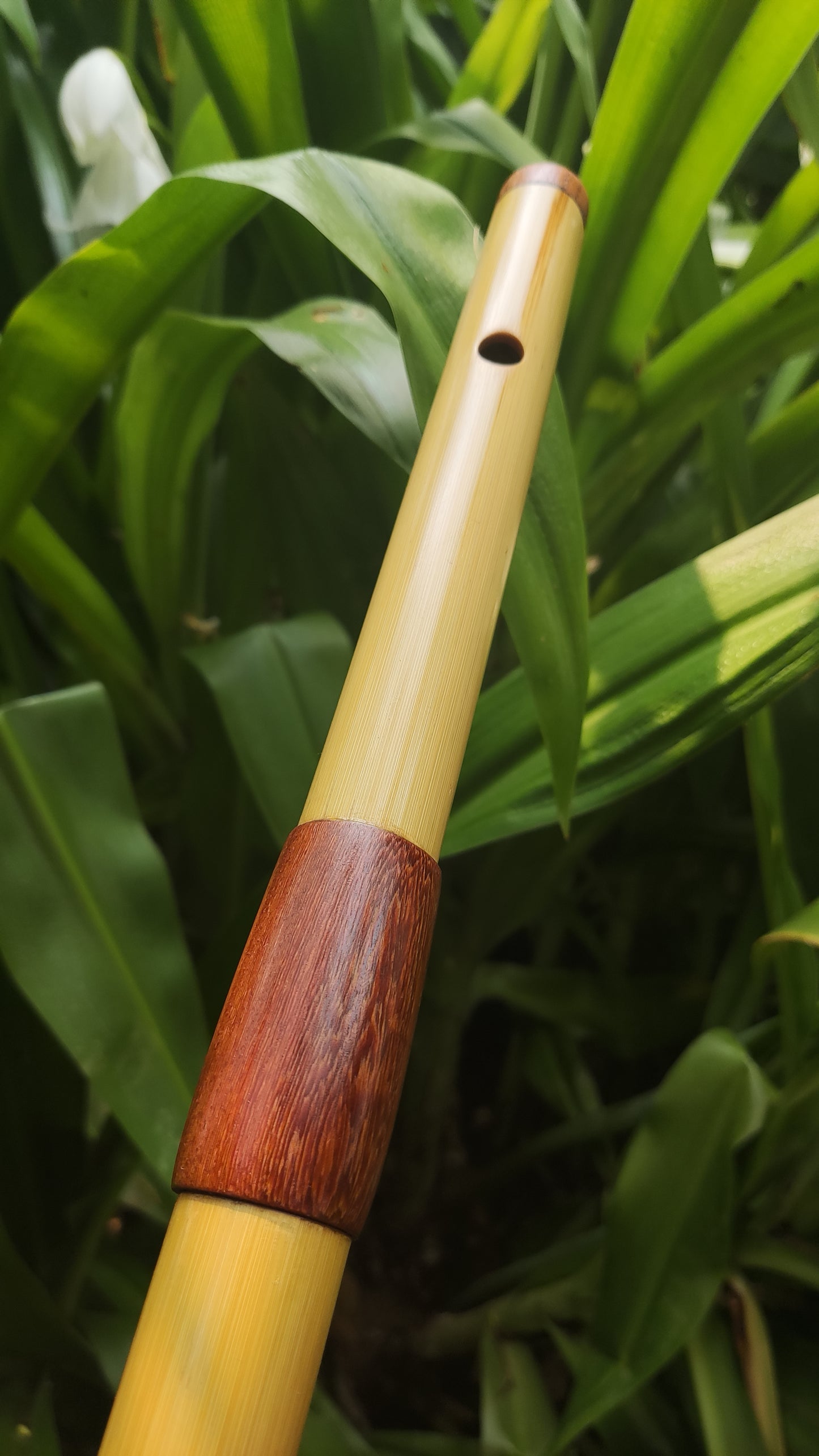 Low D Bamboo Transverse Flute | Two-part Bamboo and Rosewood Flute by Rui Gomes