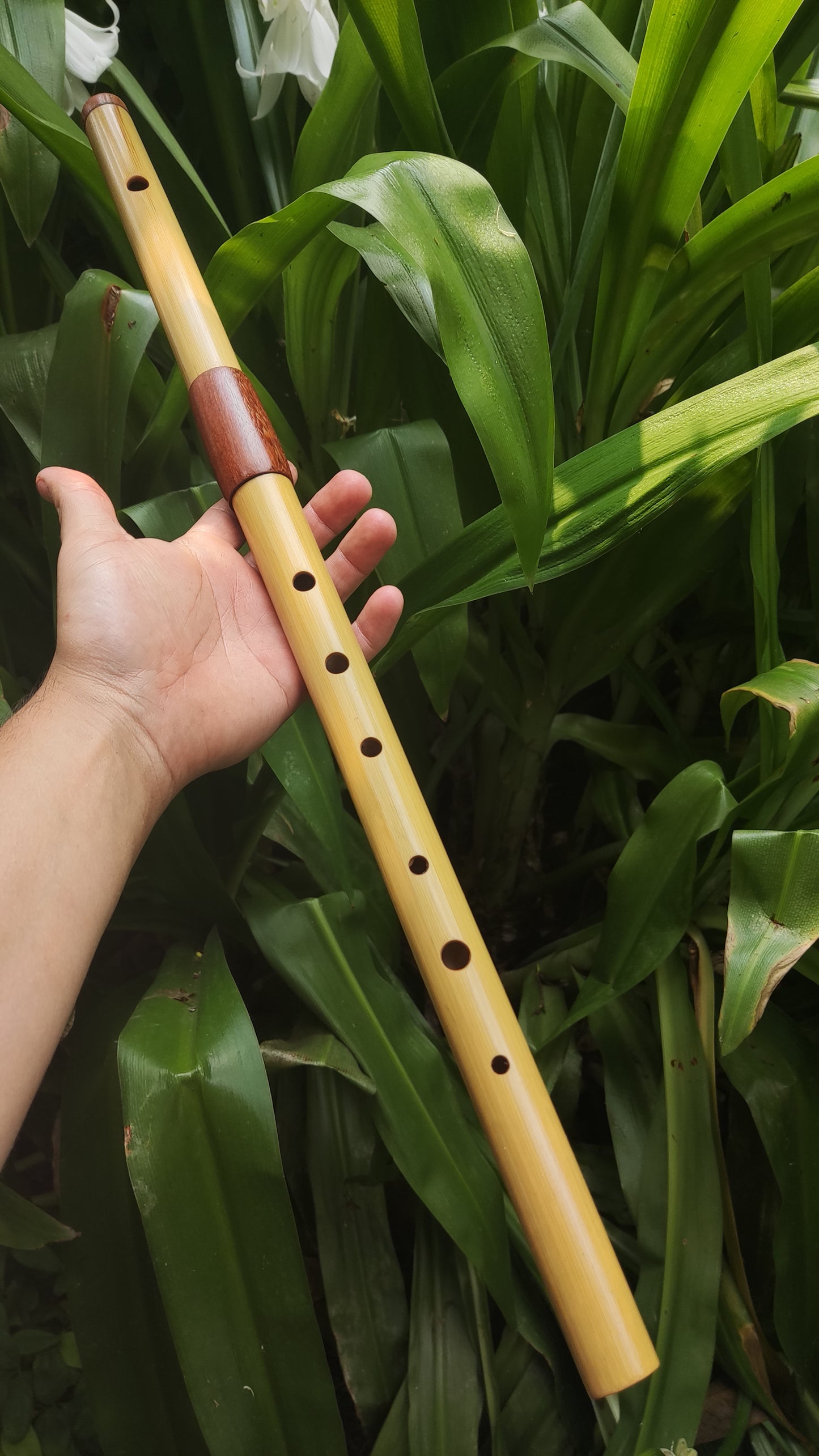Low D Bamboo Transverse Flute | Two-part Bamboo and Rosewood Flute by Rui Gomes