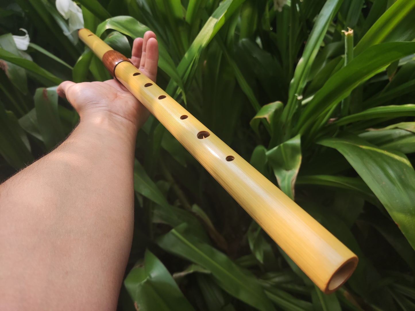Low D Bamboo Transverse Flute | Two-part Bamboo and Rosewood Flute by Rui Gomes