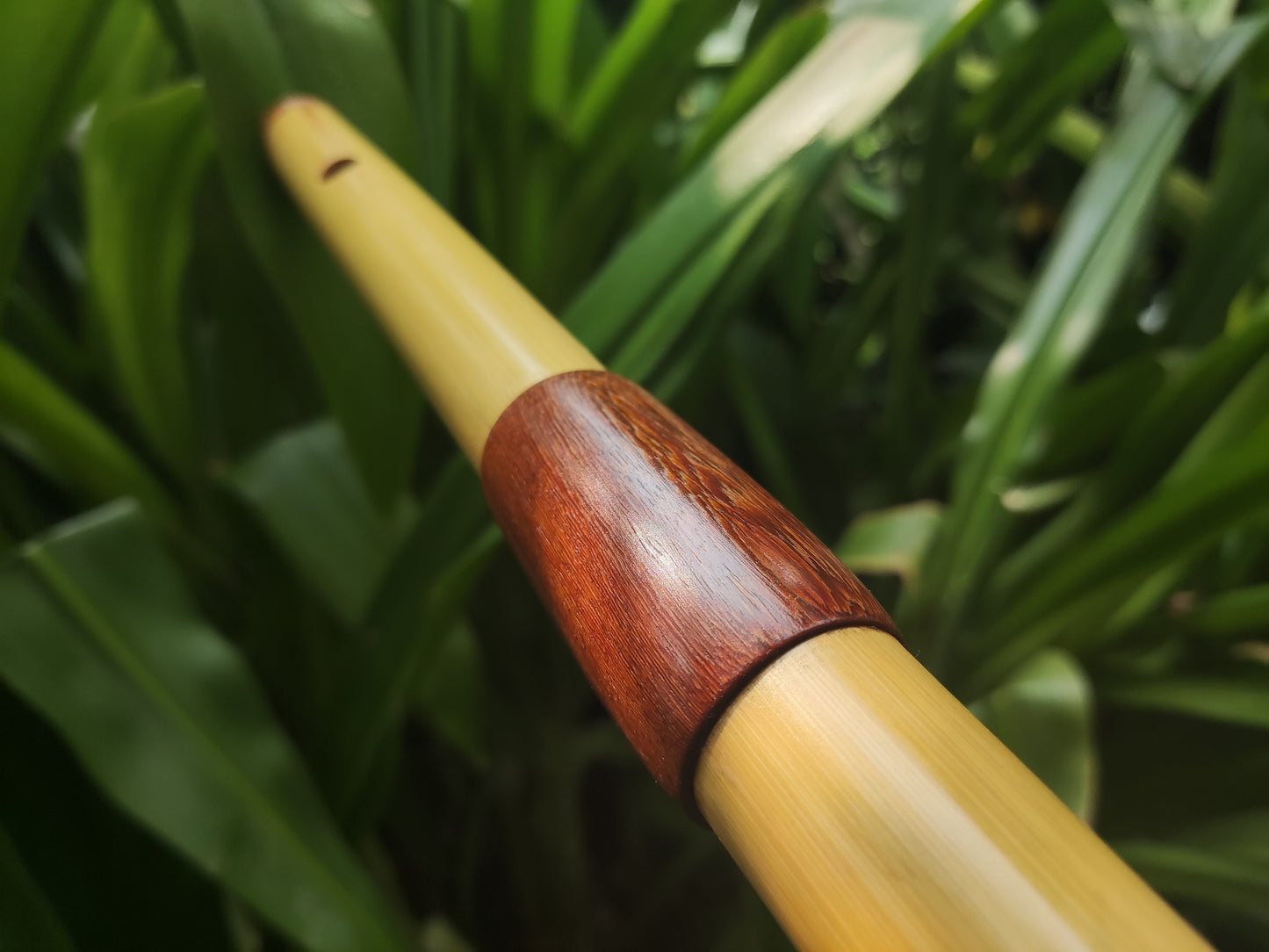 Low D Bamboo Transverse Flute | Two-part Bamboo and Rosewood Flute by Rui Gomes