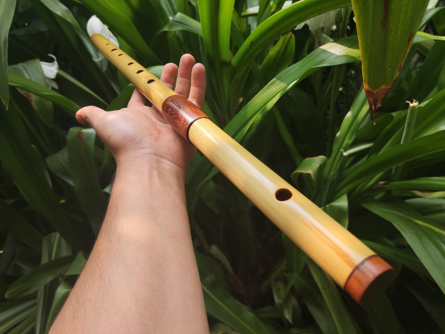 Low D Bamboo Transverse Flute | Two-part Bamboo and Rosewood Flute by Rui Gomes