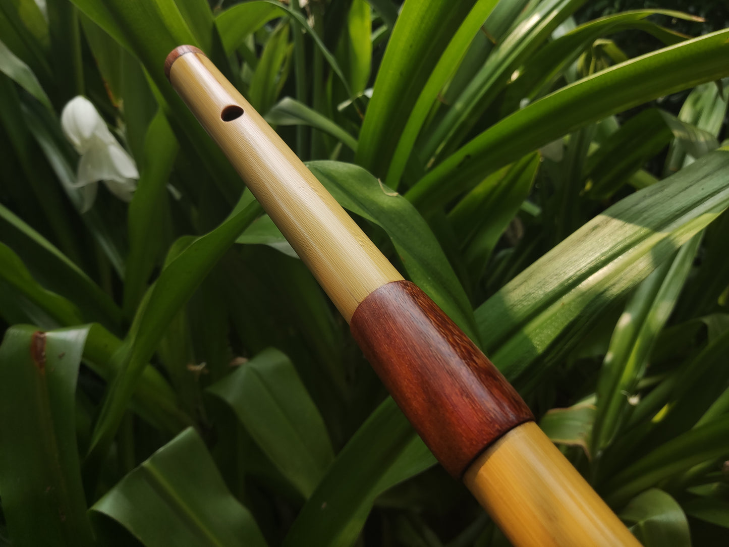 Low D Bamboo Transverse Flute | Two-part Bamboo and Rosewood Flute by Rui Gomes