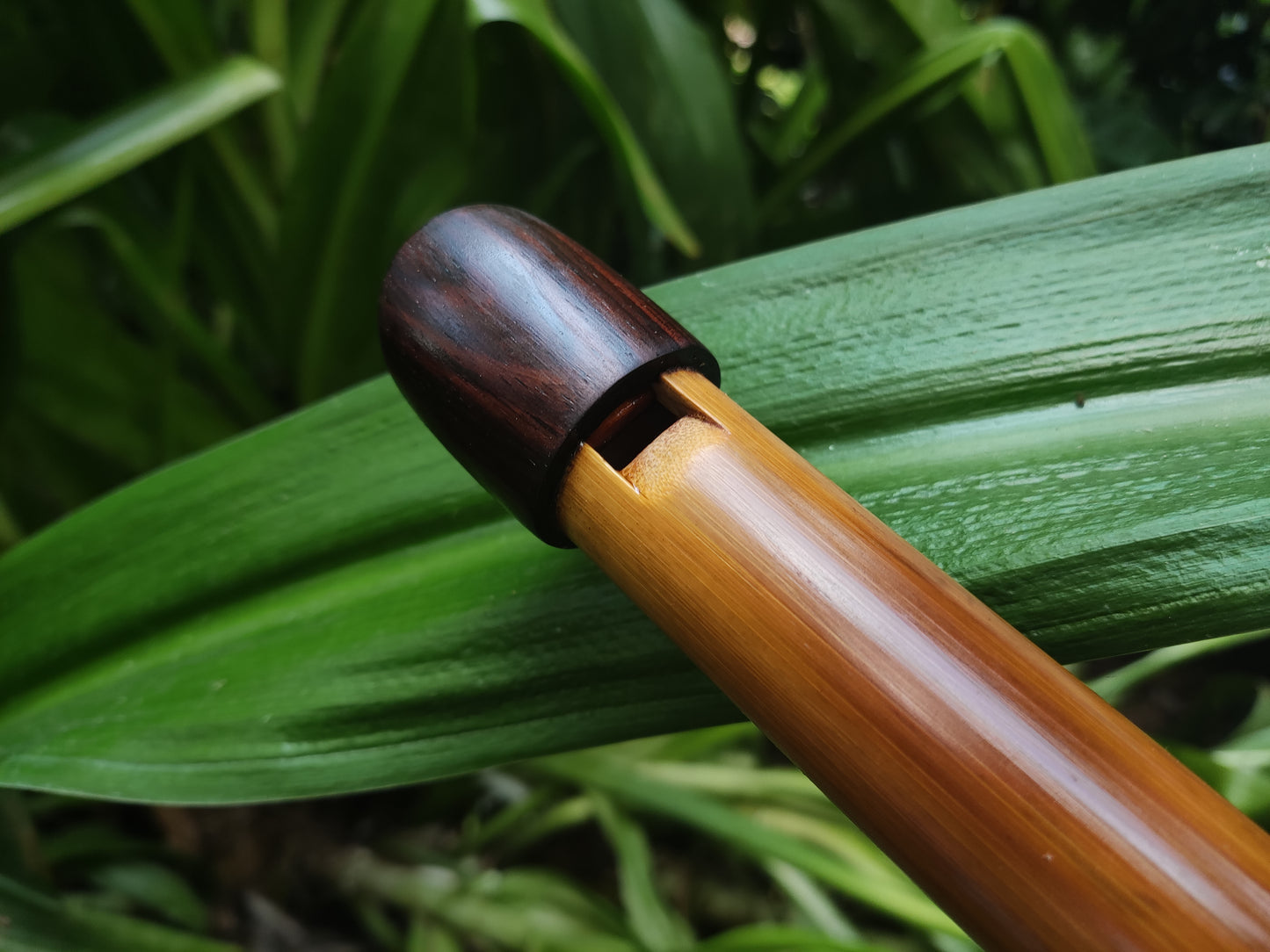 Low D Whistle, handmade out of Bamboo by Rui Gomes