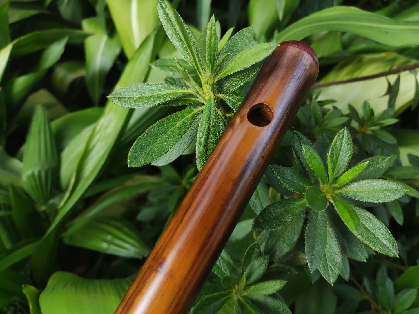 F Major Transverse Flute | Fire treated bamboo | Rui Gomes