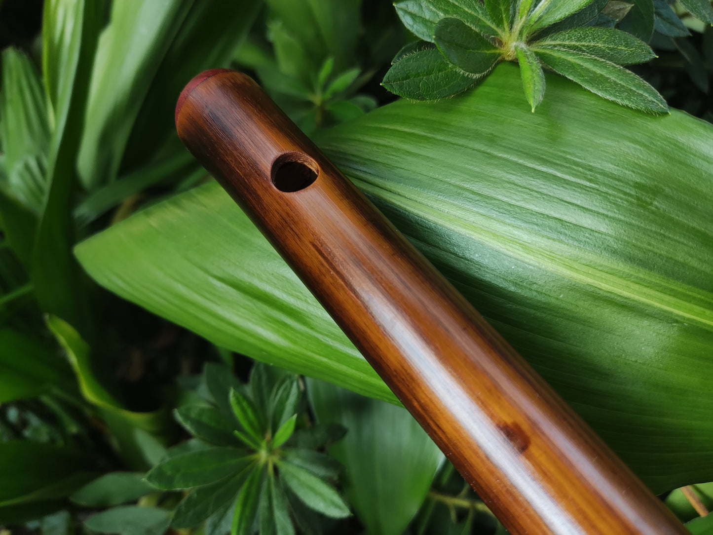 F Major Transverse Flute | Fire treated bamboo | Rui Gomes