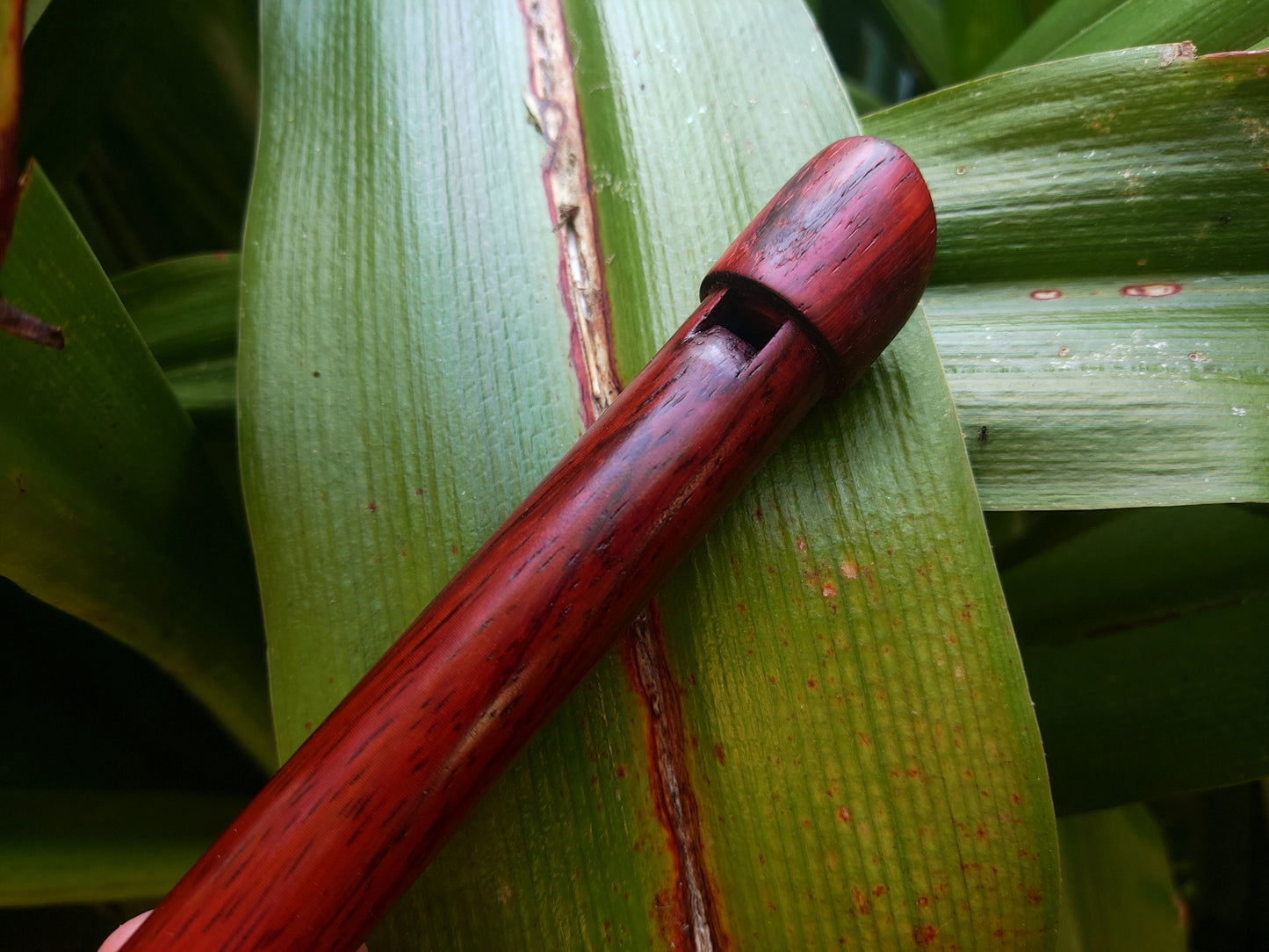 High D Whistle handmade out of Padauk | Rui Gomes