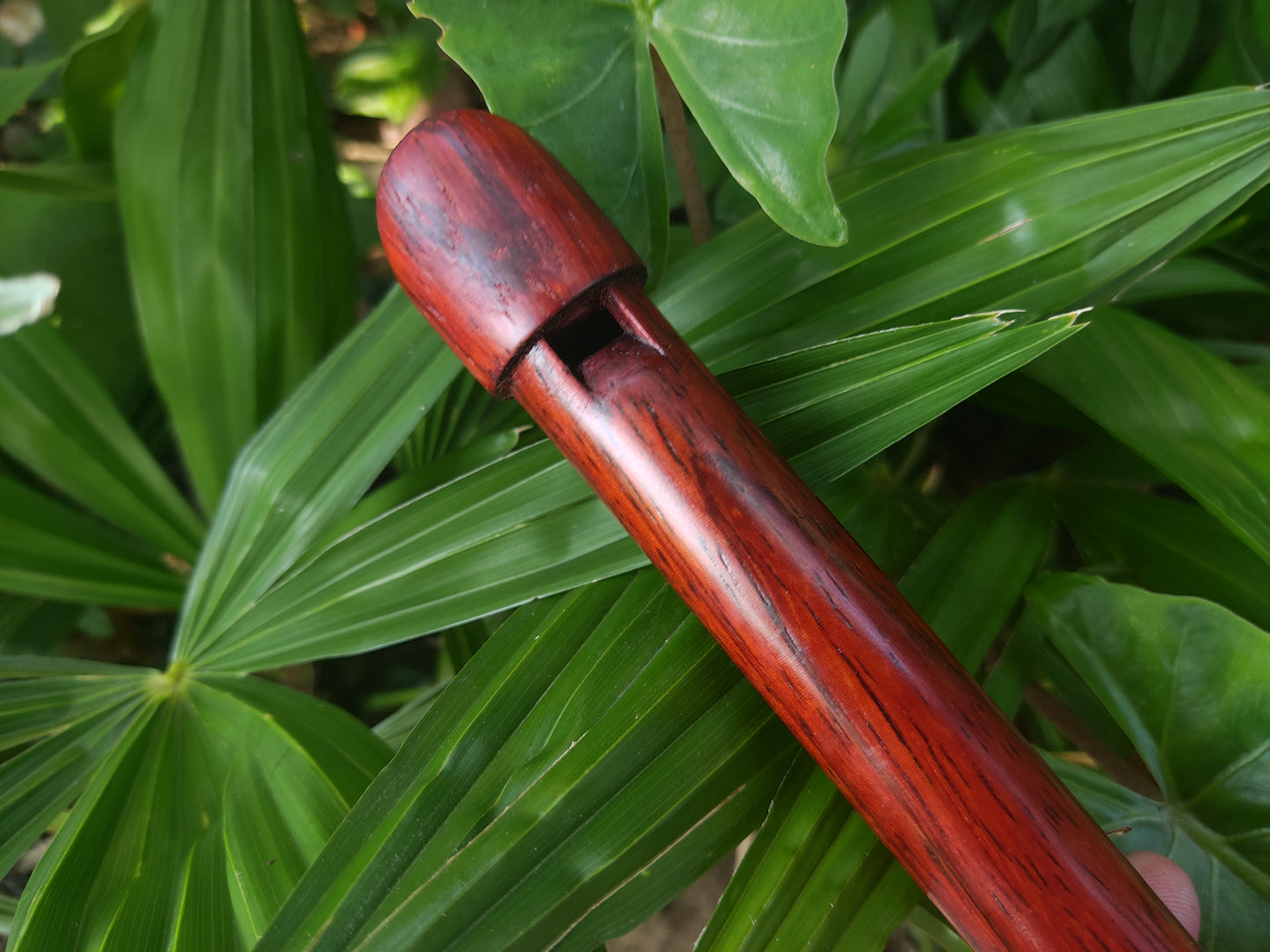High D Whistle handmade out of Padauk | Rui Gomes