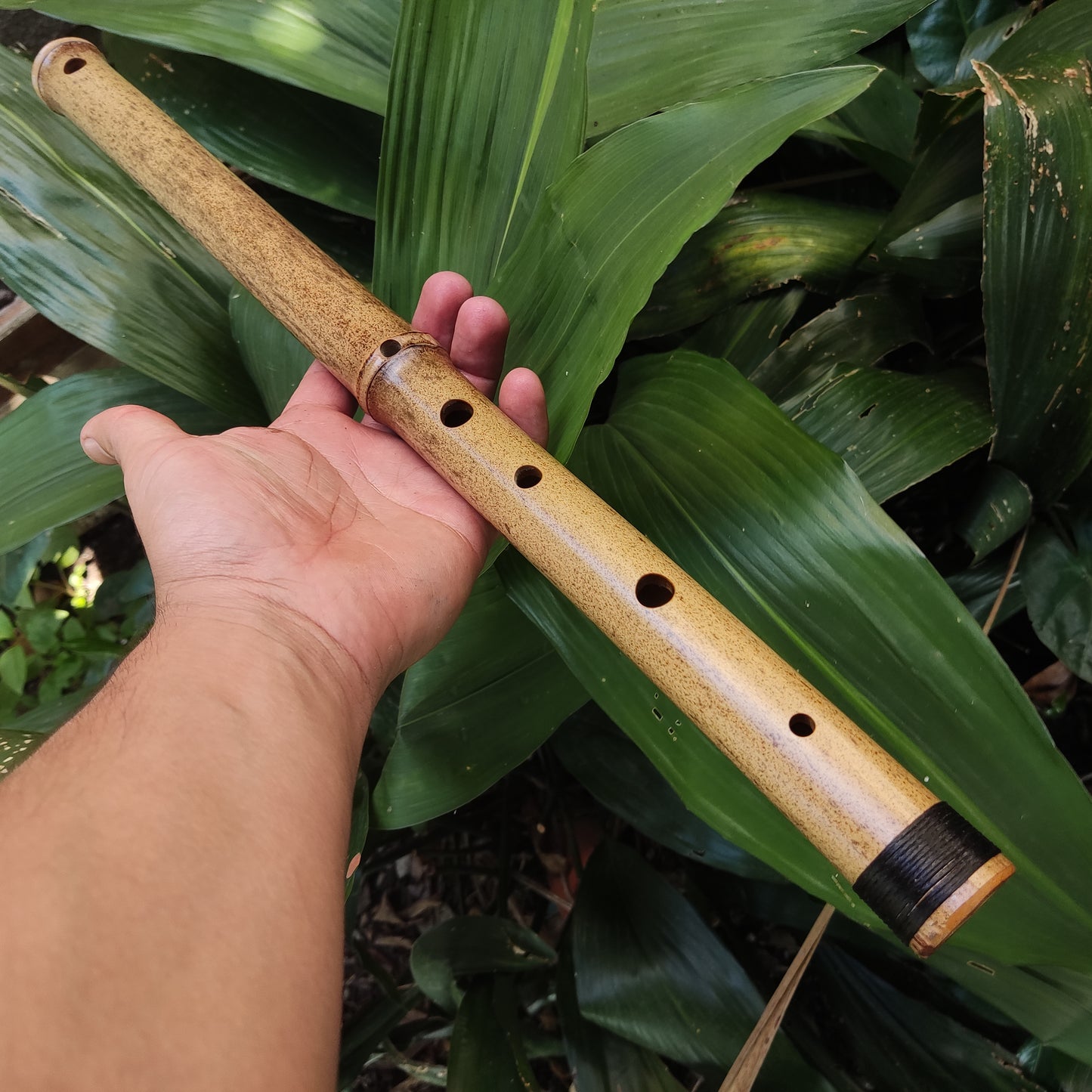 Asavari Raga Bamboo Transverse Flute in the Key of E | Rui Gomes | SoprosRG
