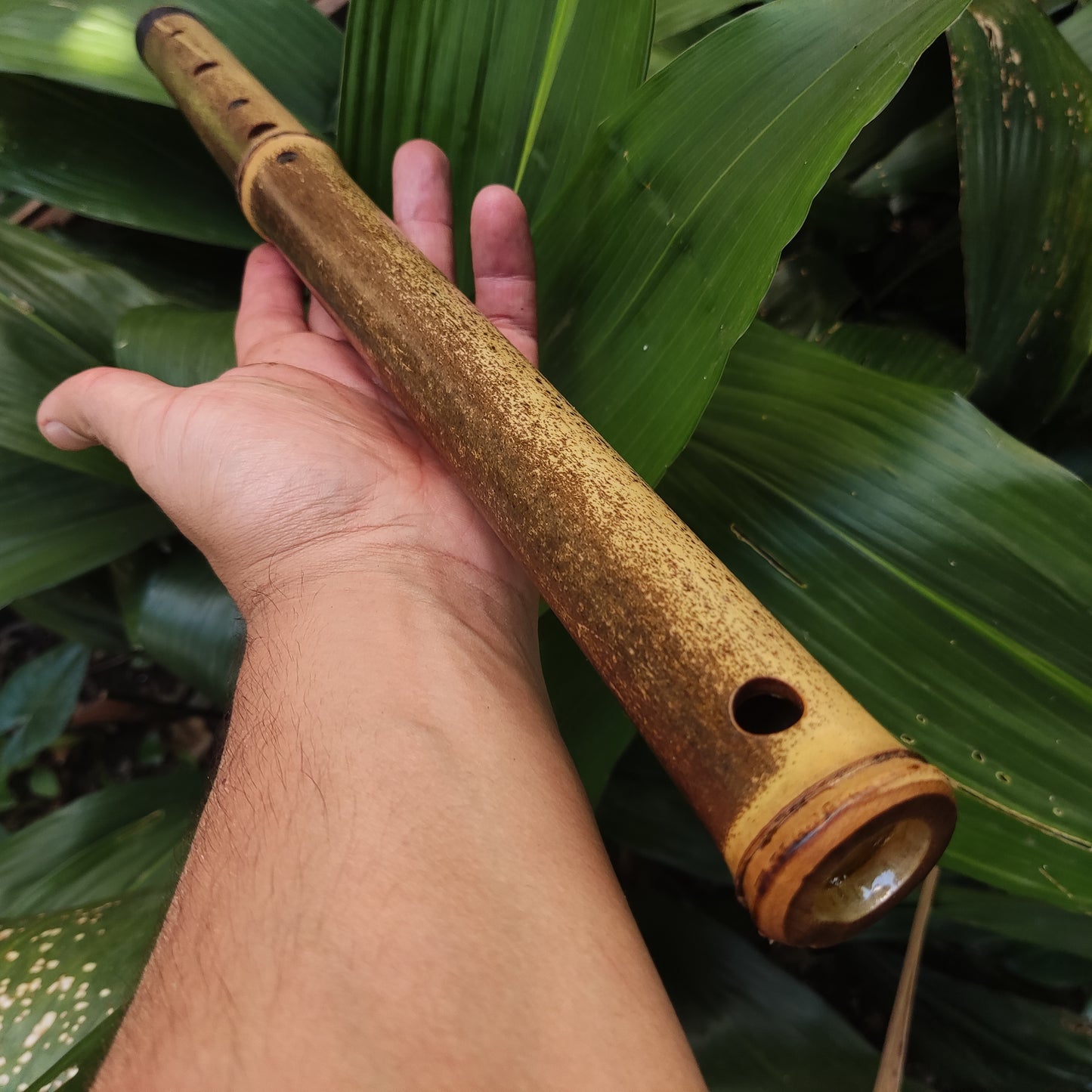 Asavari Raga Bamboo Transverse Flute in the Key of E | Rui Gomes | SoprosRG