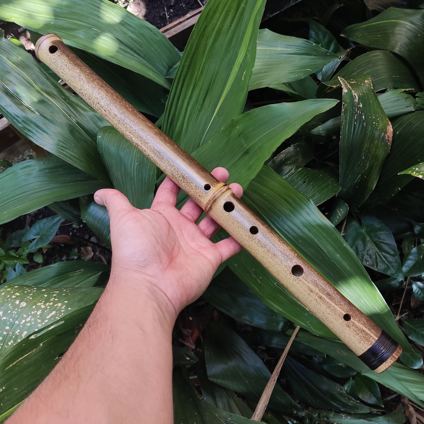 Asavari Raga Bamboo Transverse Flute in the Key of E | Rui Gomes | SoprosRG
