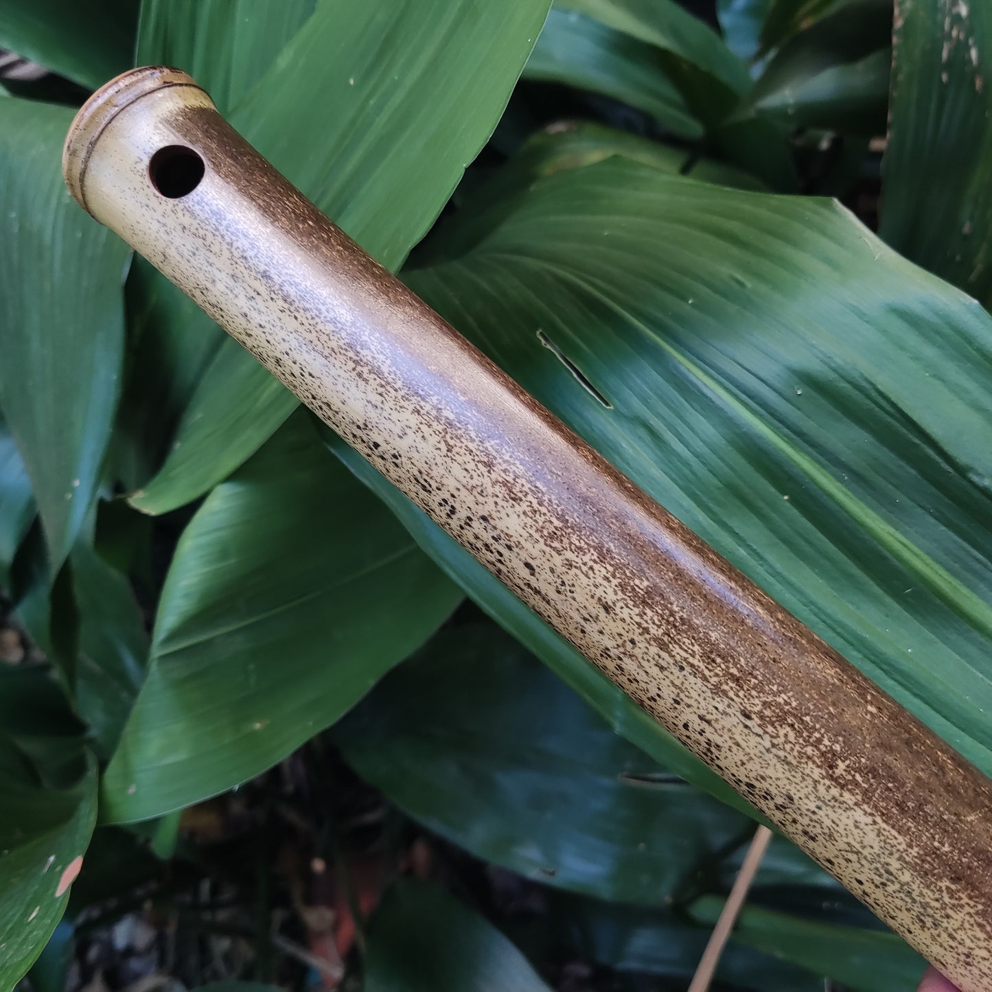 Asavari Raga Bamboo Transverse Flute in the Key of E | Rui Gomes | SoprosRG