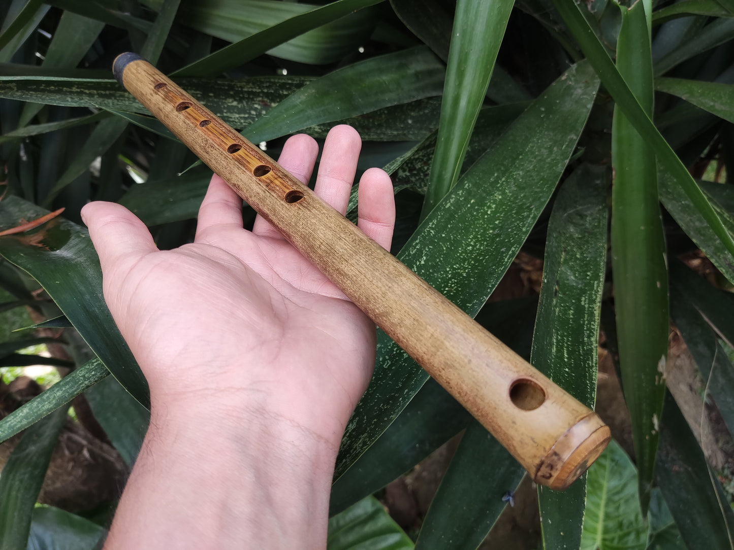 Basic A Major Bamboo Flute, concert tuned for Western and Eastern Music | Rui Gomes