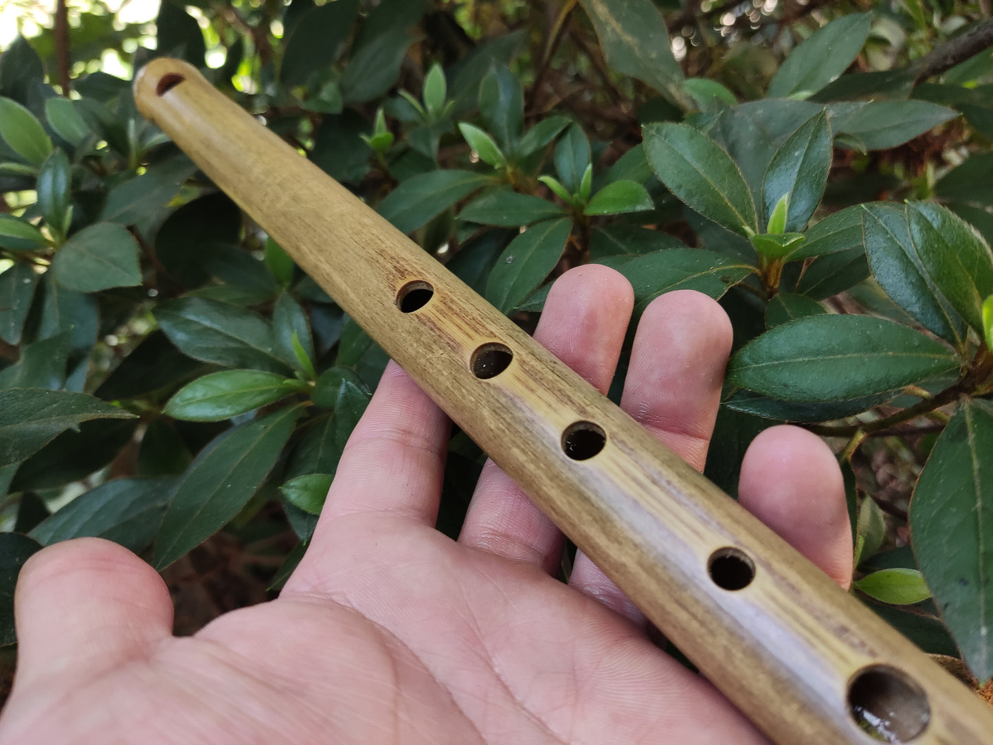 Basic A Major Bamboo Flute, concert tuned for Western and Eastern Music | Rui Gomes