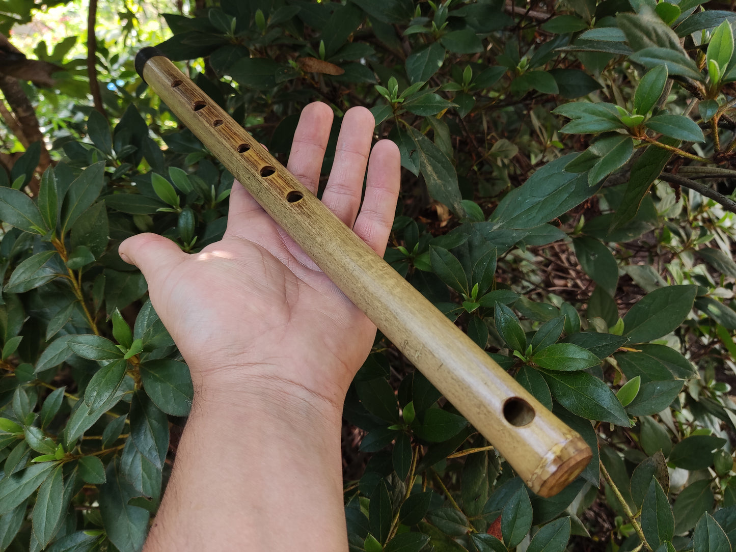 Basic A Major Bamboo Flute, concert tuned for Western and Eastern Music | Rui Gomes