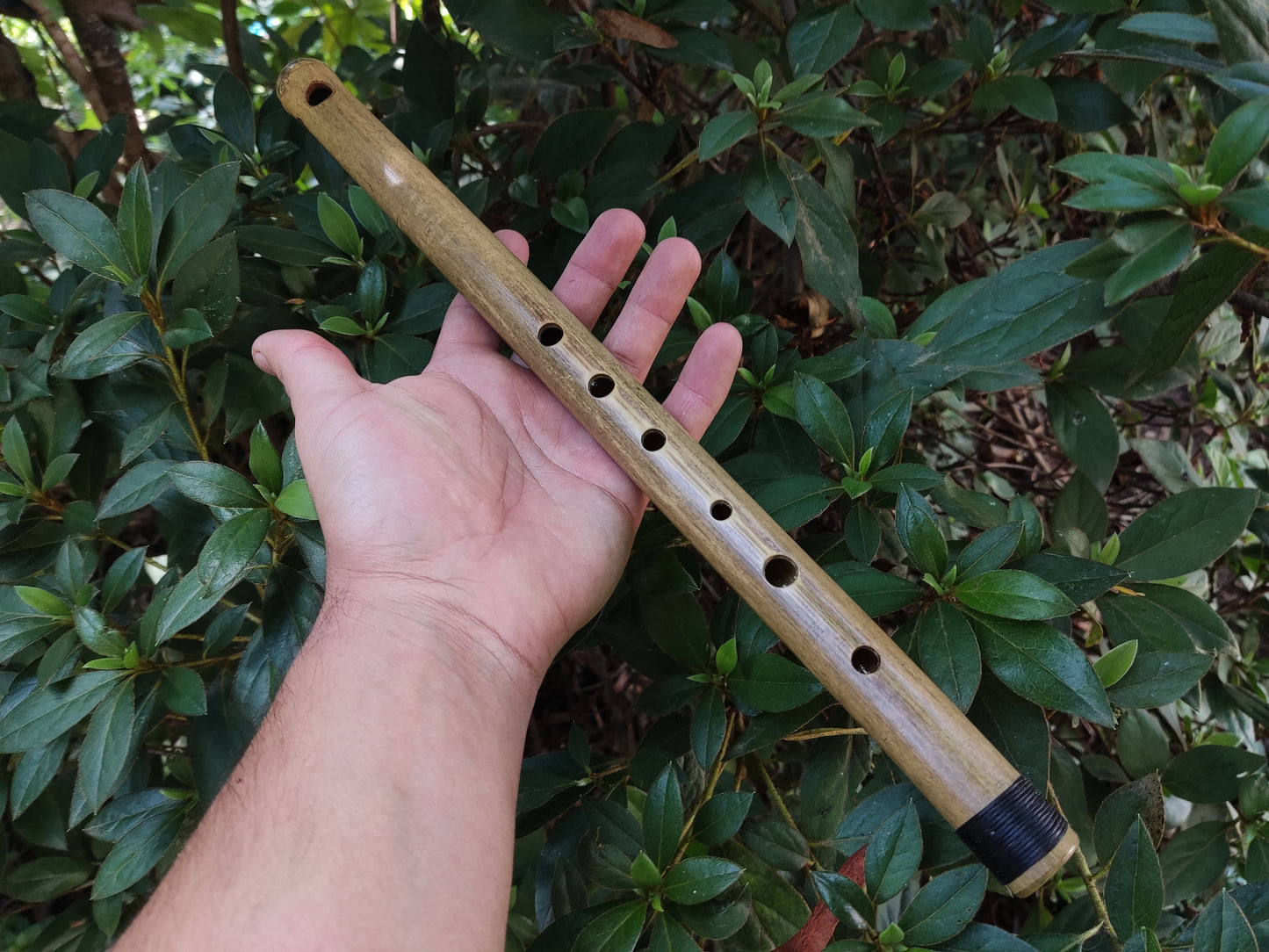 Basic A Major Bamboo Flute, concert tuned for Western and Eastern Music | Rui Gomes