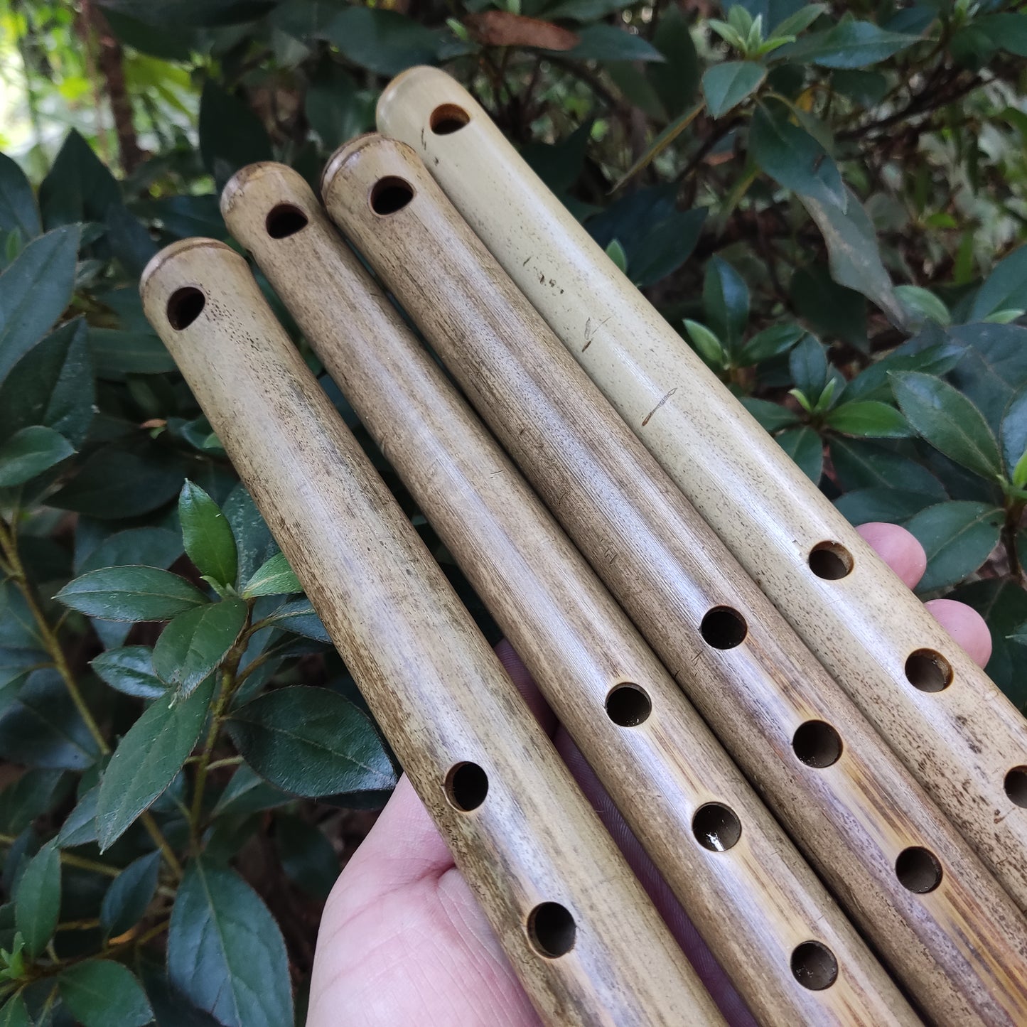 Basic A Major Bamboo Flute, concert tuned for Western and Eastern Music | Rui Gomes