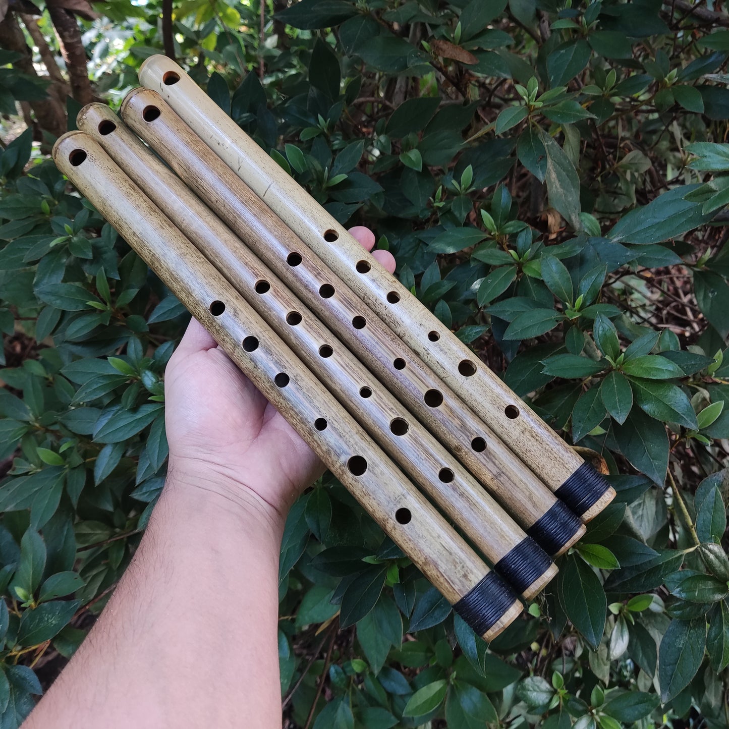 Basic A Major Bamboo Flute, concert tuned for Western and Eastern Music | Rui Gomes