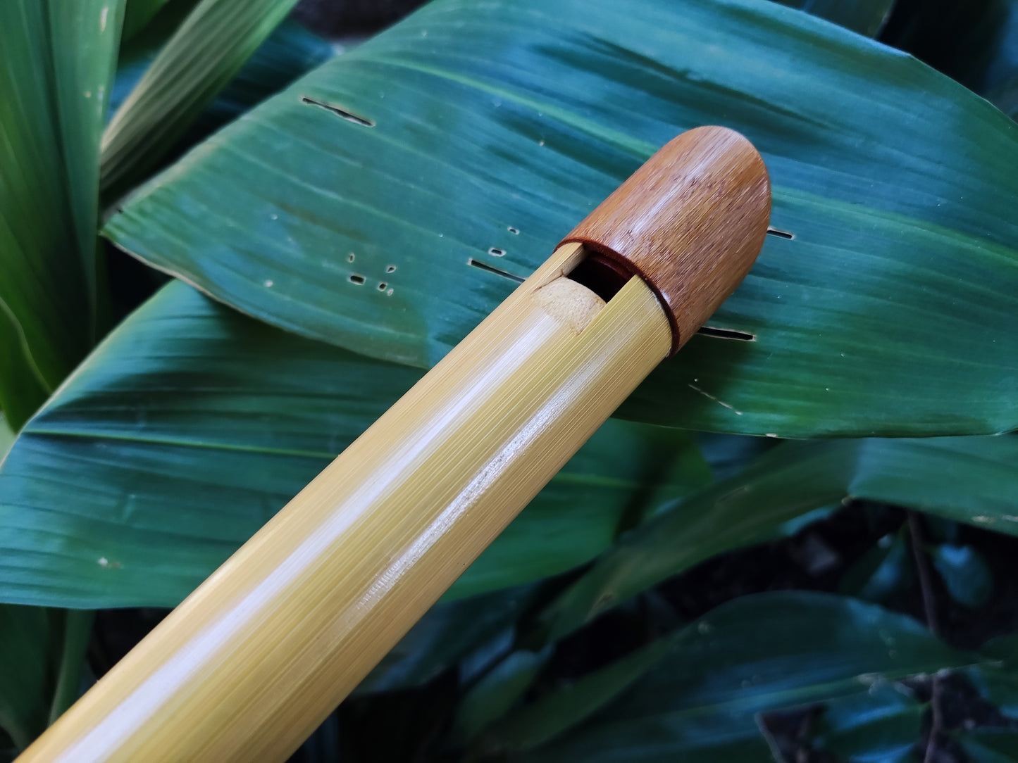 Handmade Low E Bamboo Whistle made in the Irish Style | Rui Gomes | SoprosRG