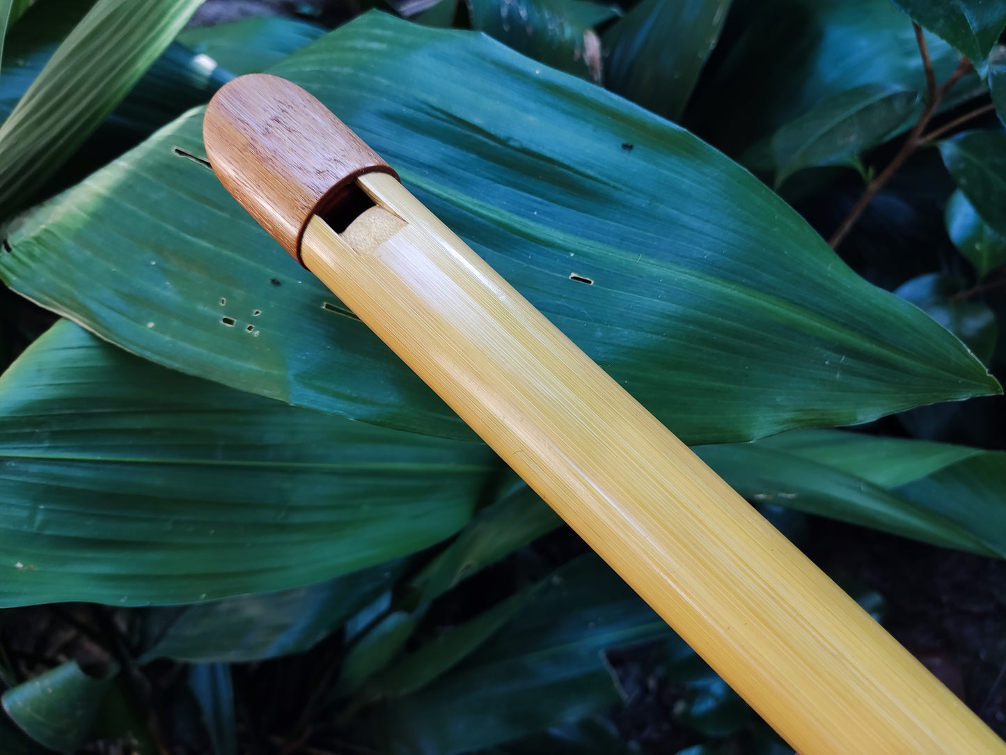 Handmade Low E Bamboo Whistle made in the Irish Style | Rui Gomes | SoprosRG