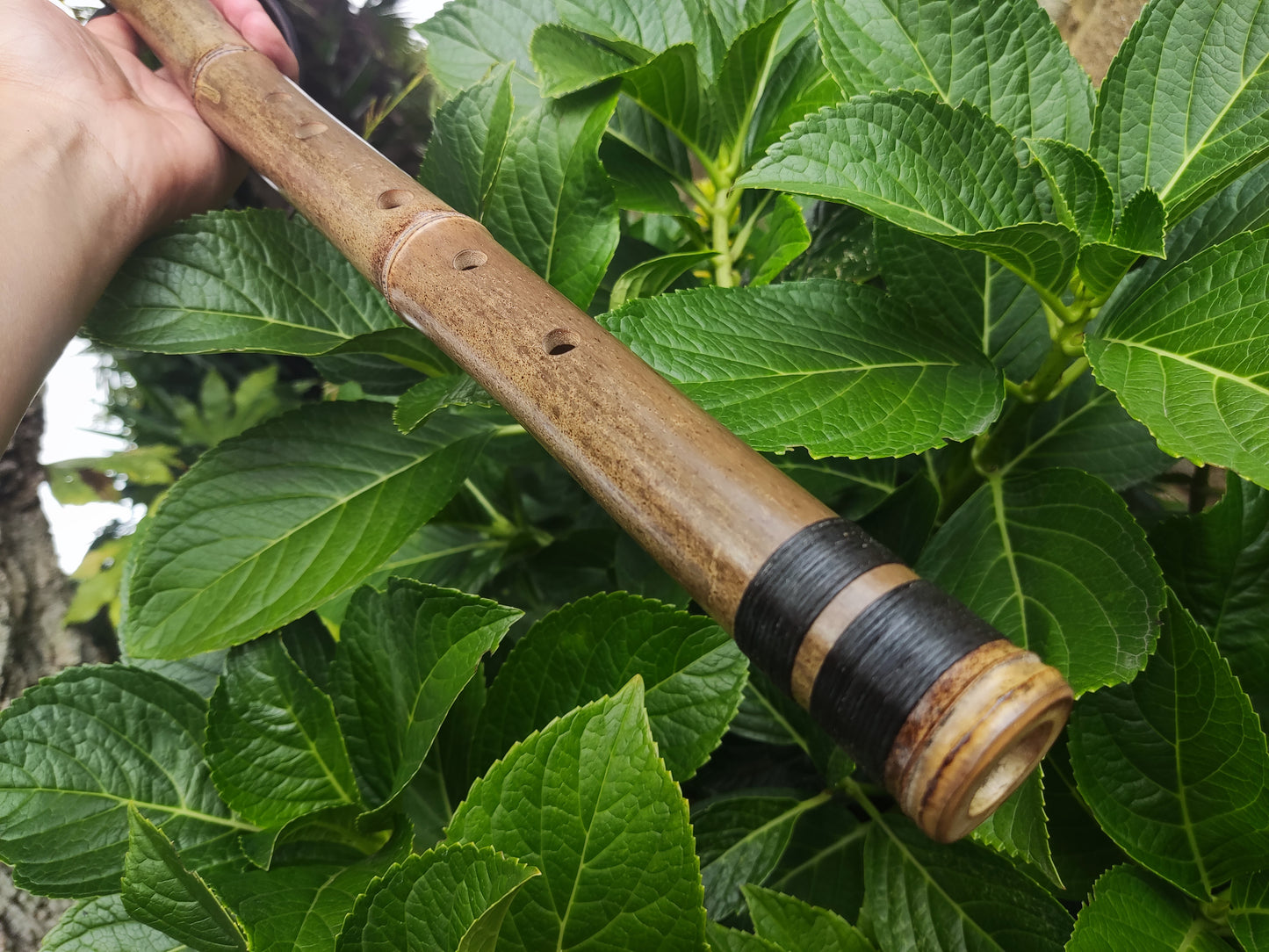 The Crooked flute! Native American Style bamboo flute in the key of E | Rui Gomes