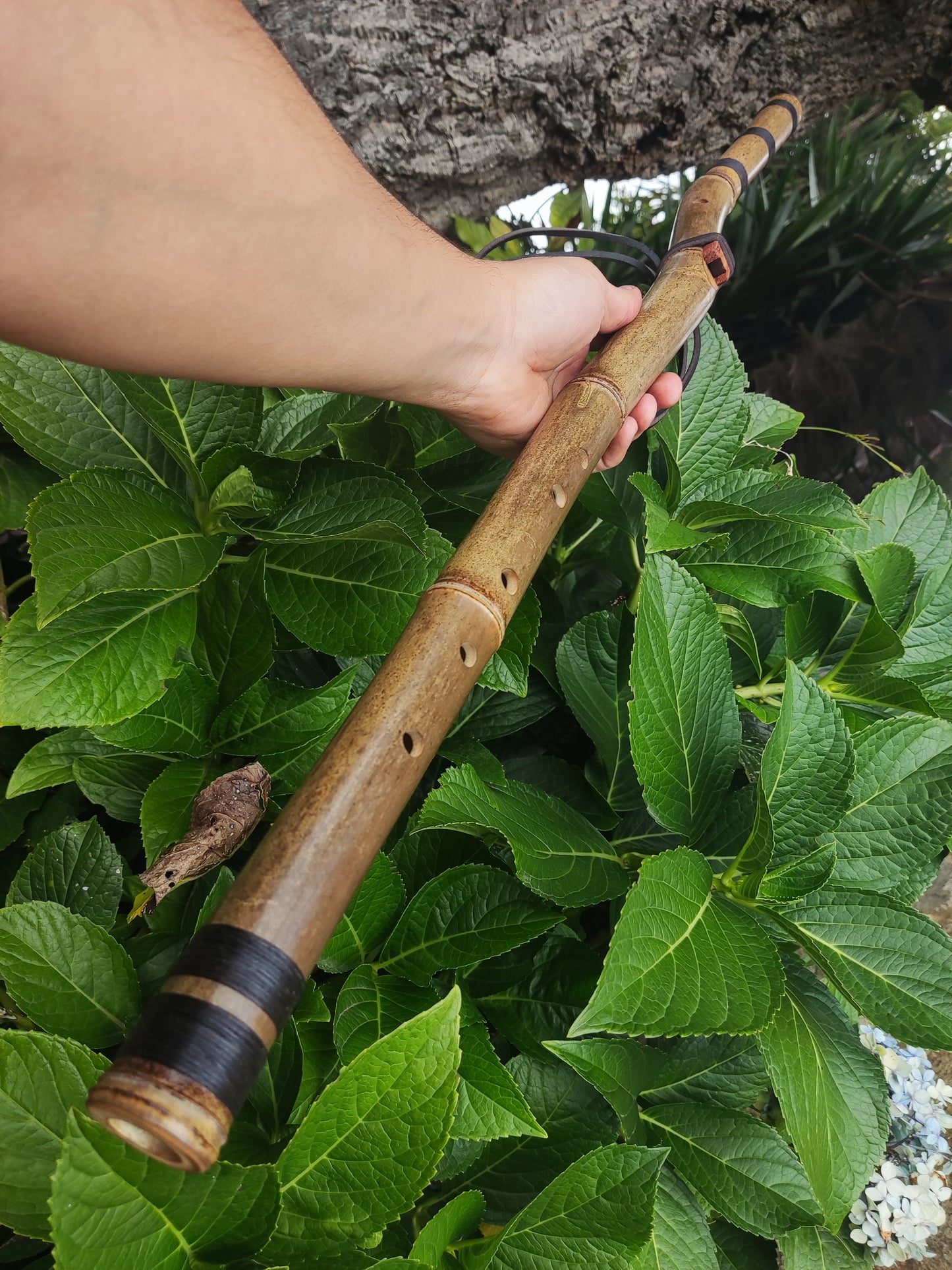 The Crooked flute! Native American Style bamboo flute in the key of E | Rui Gomes