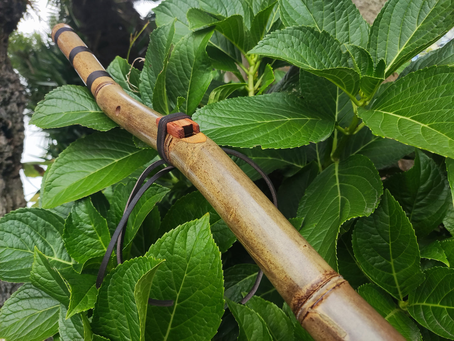 The Crooked flute! Native American Style bamboo flute in the key of E | Rui Gomes
