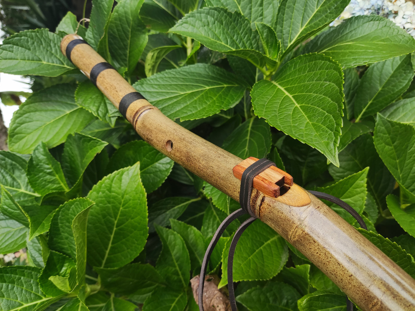 The Crooked flute! Native American Style bamboo flute in the key of E | Rui Gomes