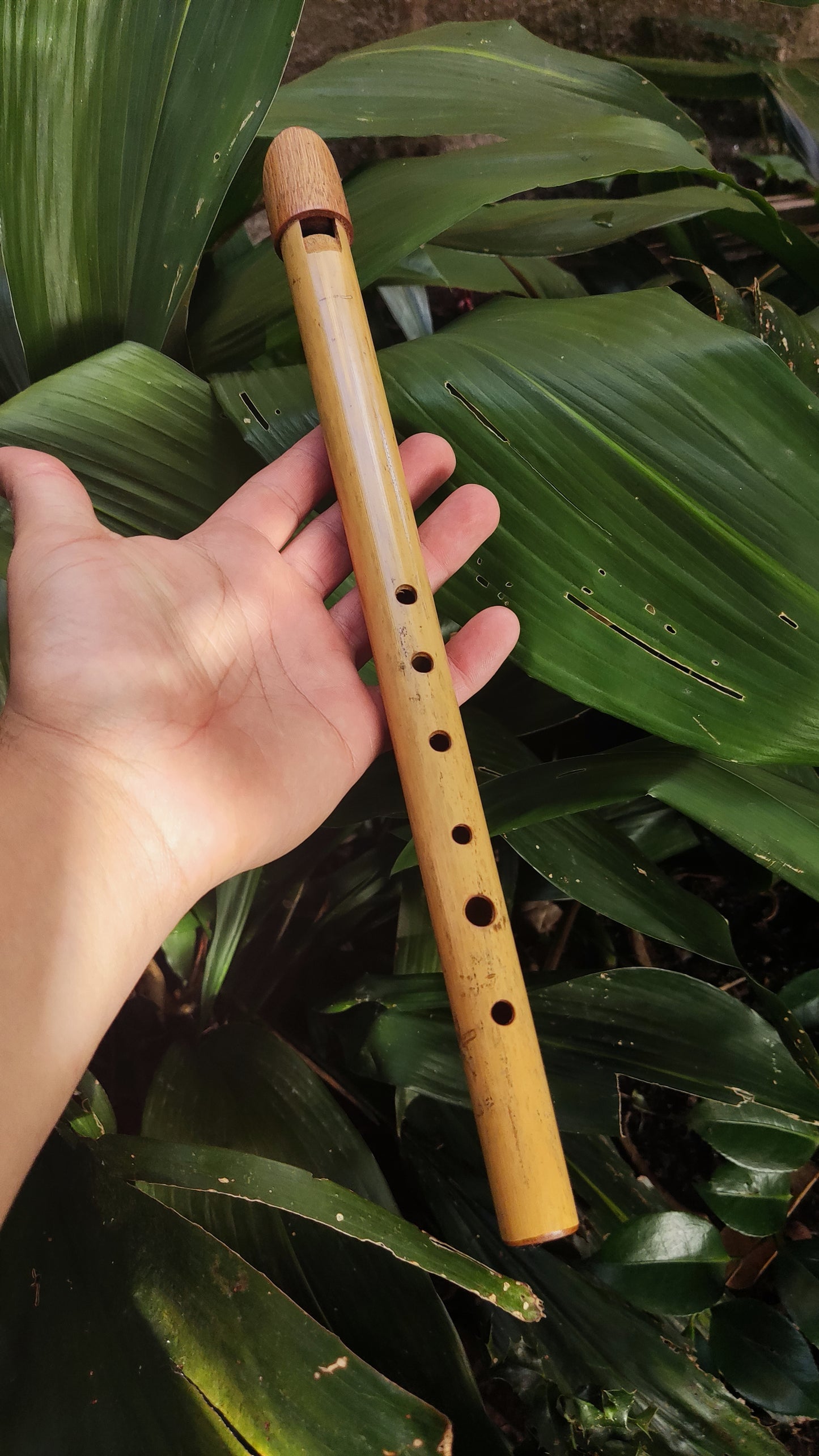 Tin Whistle in High C handmade out of Bamboo | Rui Gomes