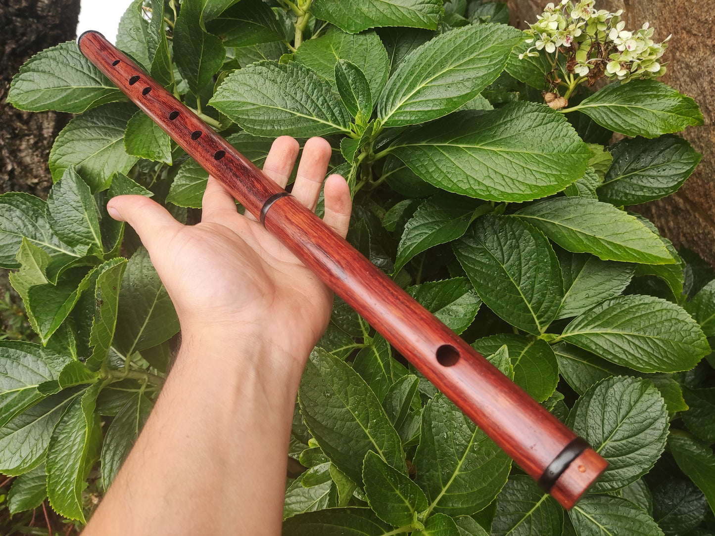 F Flute in Bubinga w/ Blackwood rings | Rui Gomes