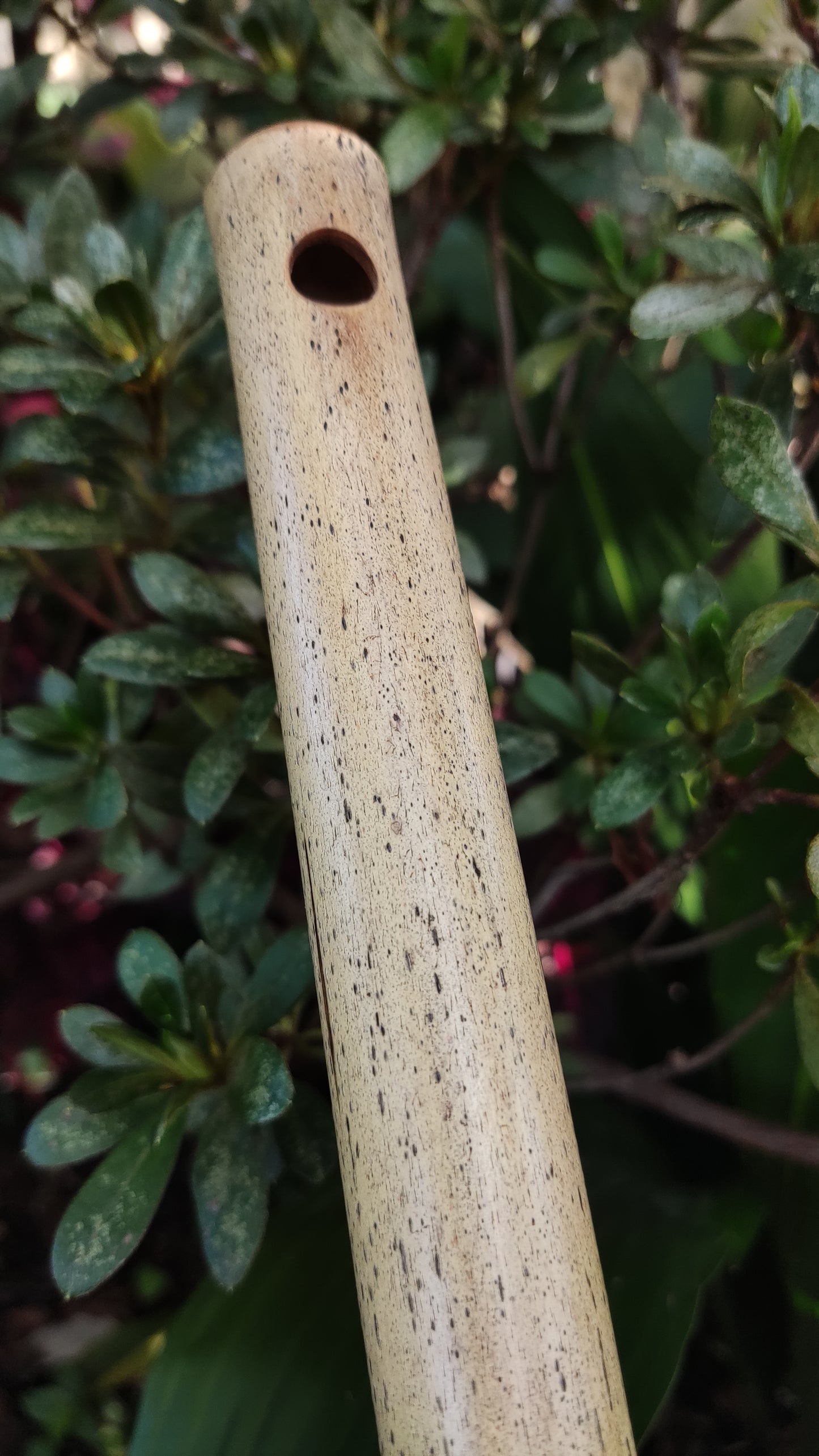 E Major Bamboo Flute by Rui Gomes