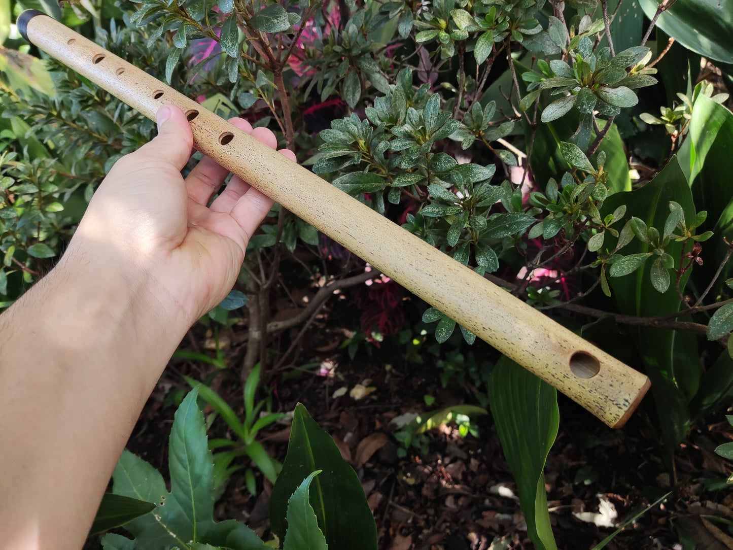 E Major Bamboo Flute by Rui Gomes
