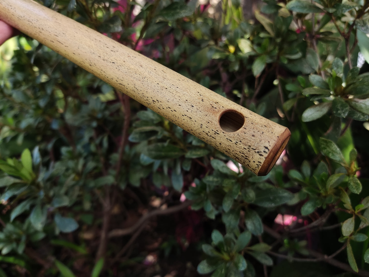 E Major Bamboo Flute by Rui Gomes