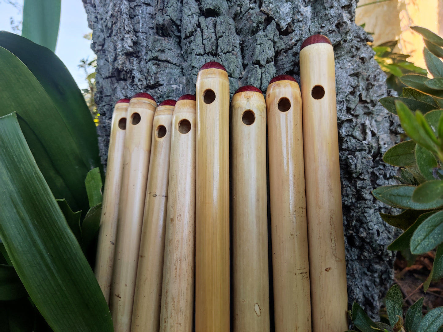 Low D Irish Flute in Bamboo | Rui Gomes