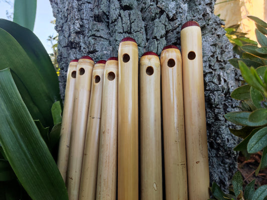 Low D Irish Flute in Bamboo | Rui Gomes