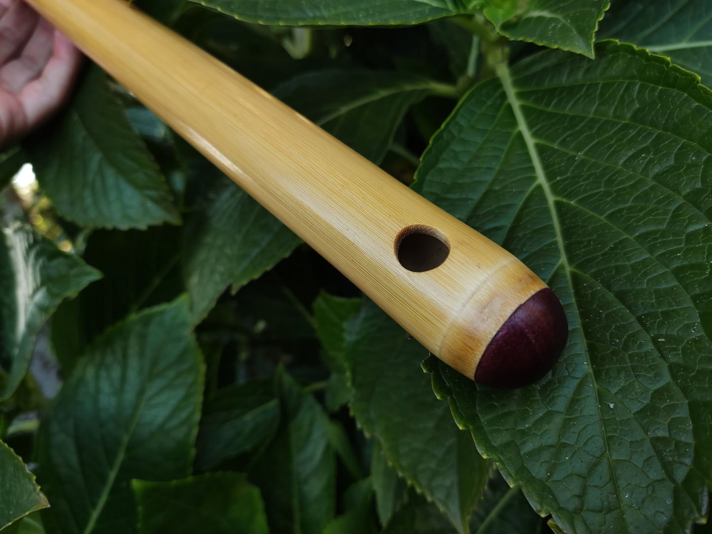 Low D Irish Flute in Bamboo | Rui Gomes