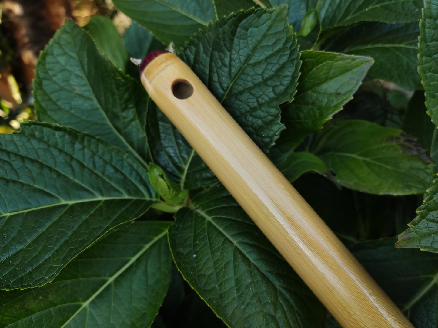 Low D Irish Flute in Bamboo | Rui Gomes