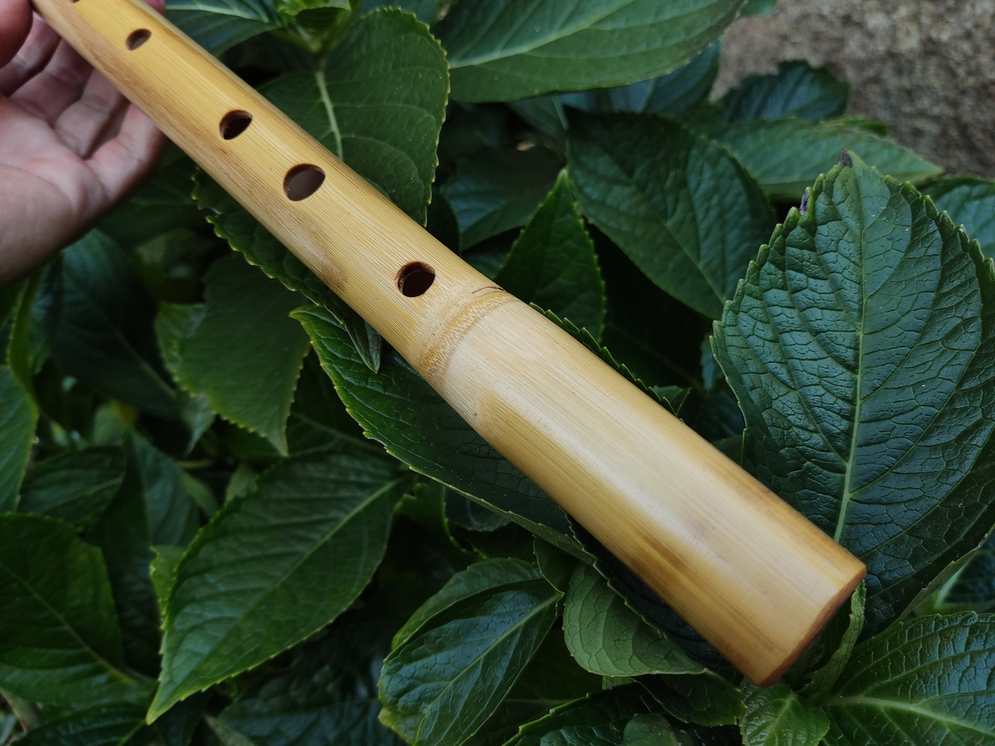 Low D Irish Flute in Bamboo | Rui Gomes