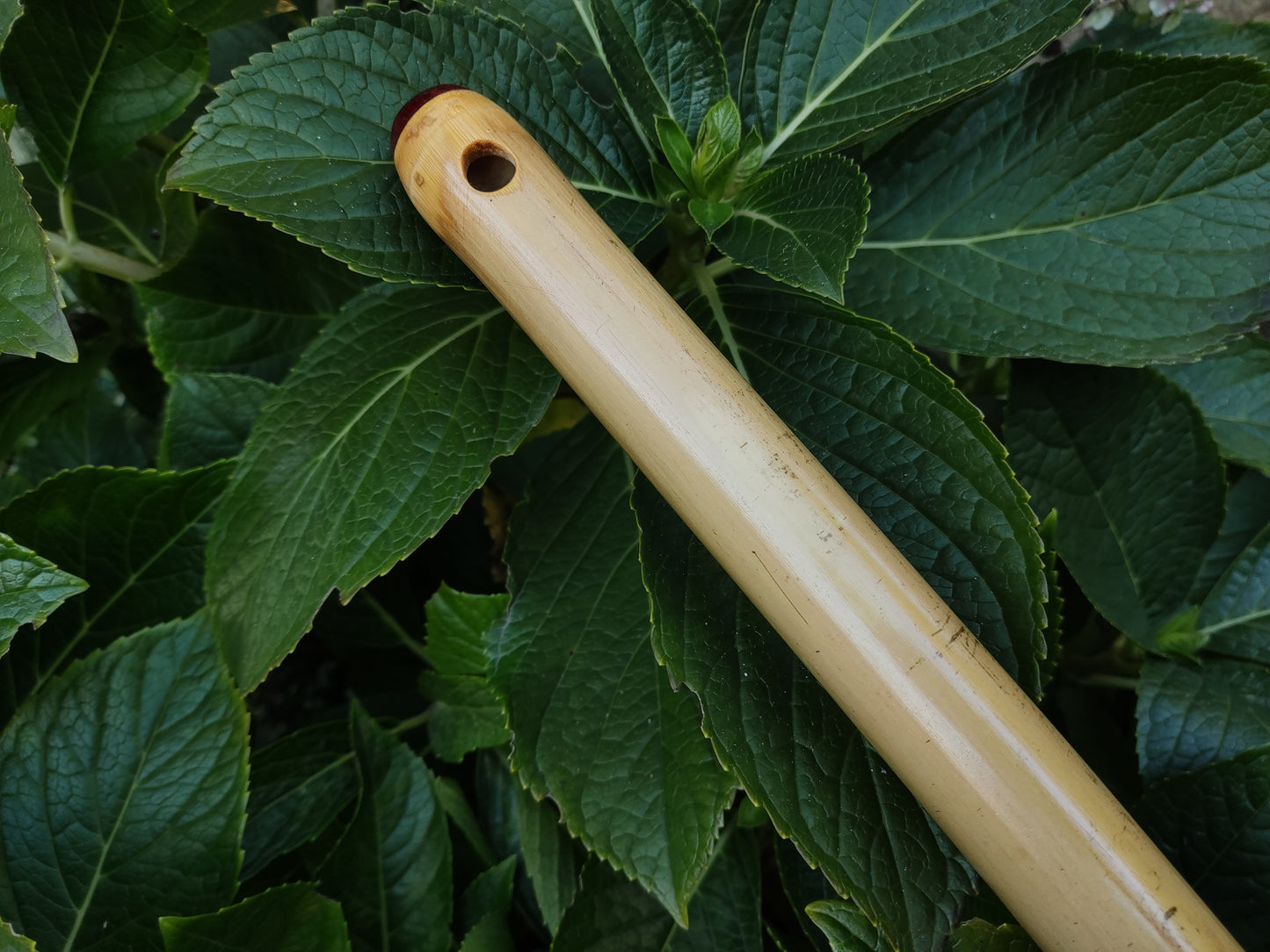 Low D Irish Flute in Bamboo | Rui Gomes