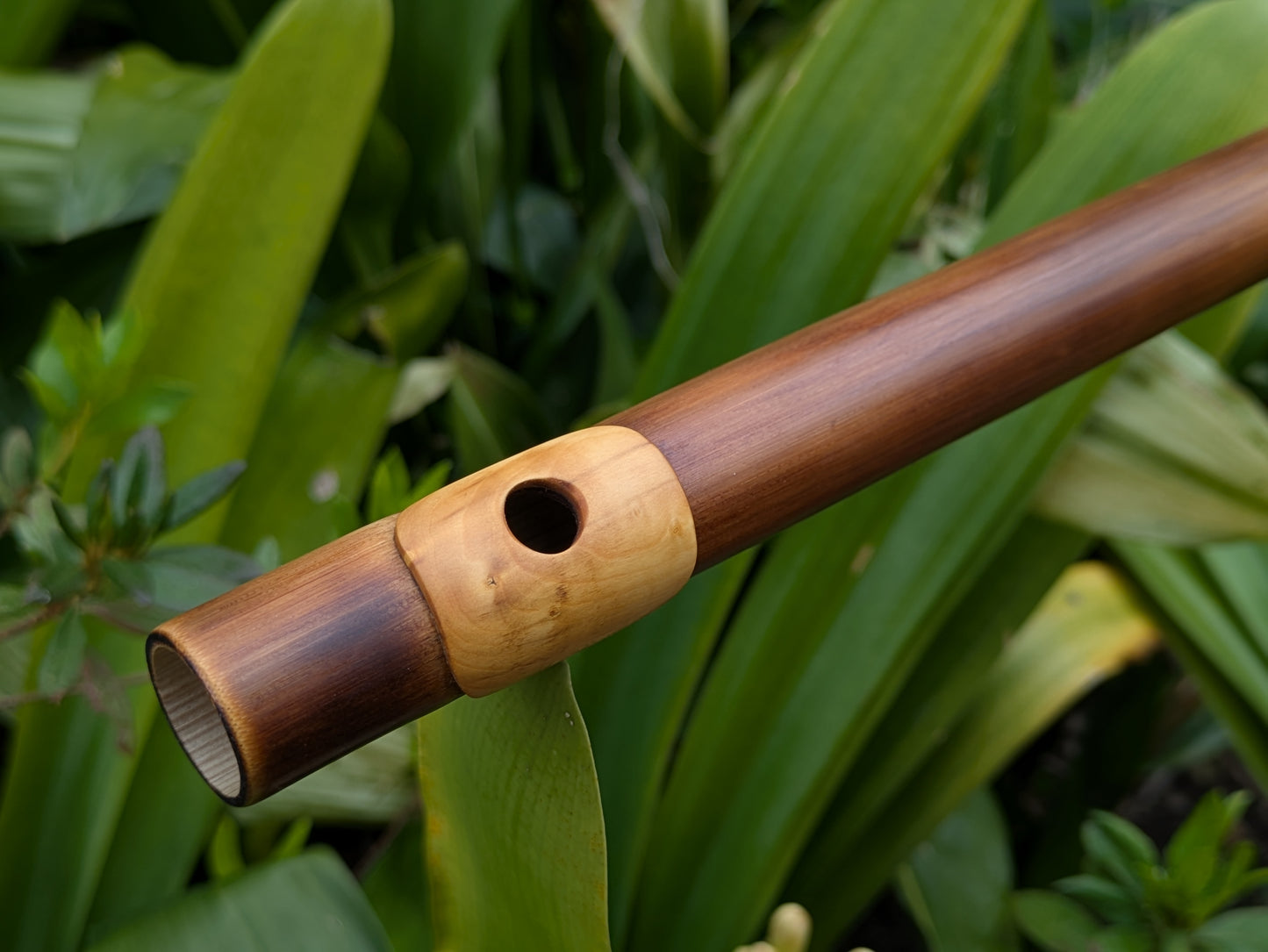 Bamboo Flute in D | Rui Gomes