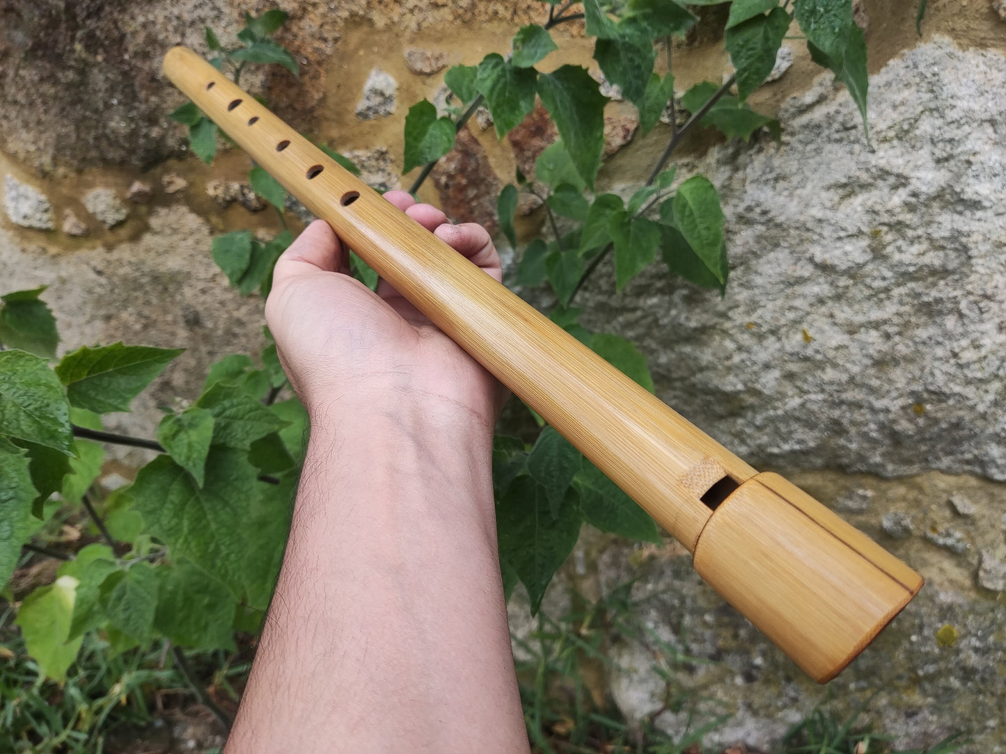 Low E Whistle for Jesse